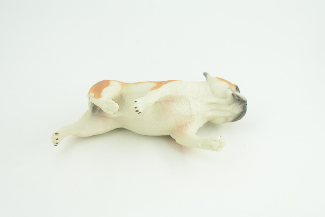 French Bulldog, Bull Dog, Hand Painted, Educational, Museum Quality, Rubber Canine, K9, Realistic, Diorama, Figure, Toys, Kids, Gift,  4 Inches.  CH949 BB208 