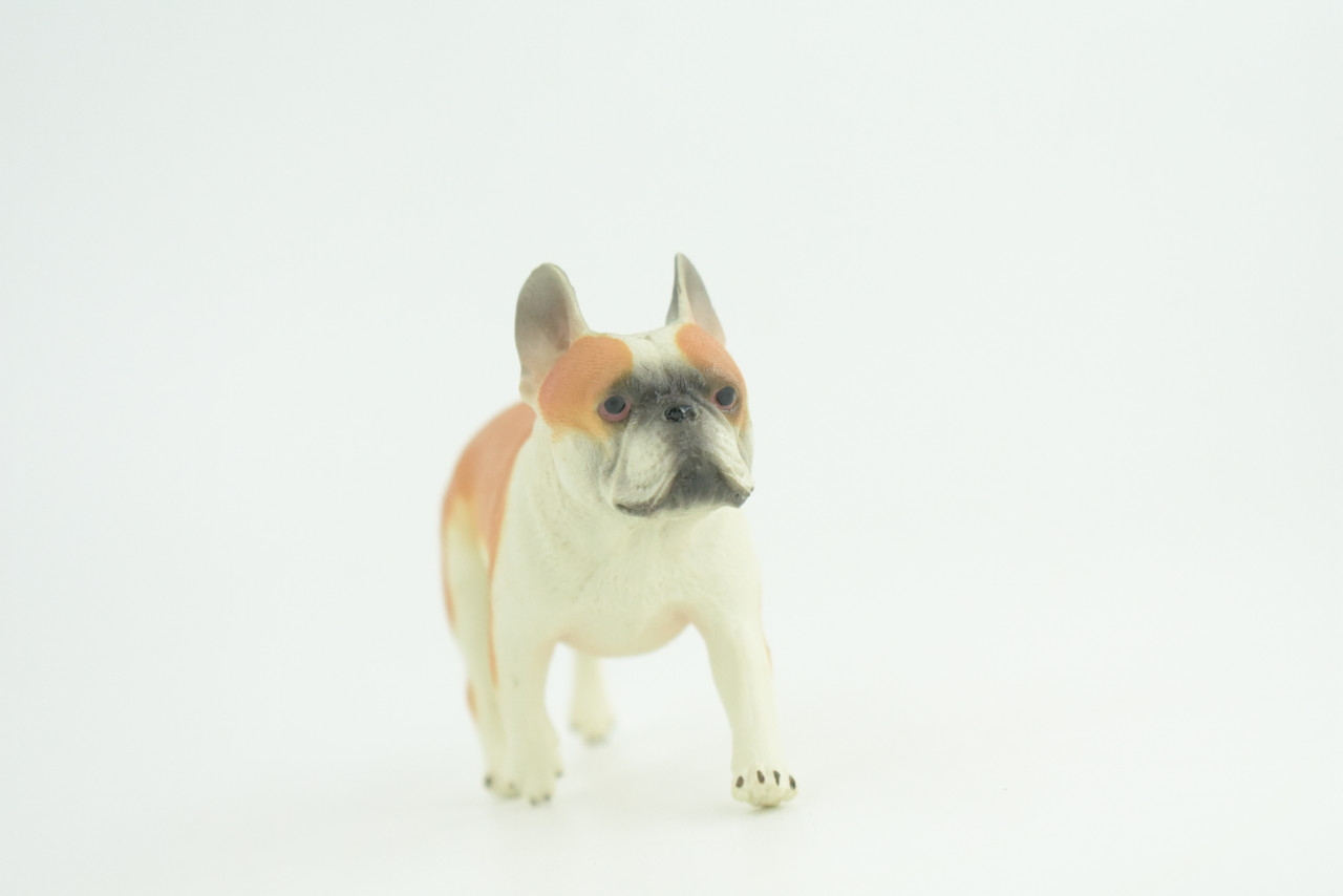 French Bulldog, Bull Dog, Hand Painted, Educational, Museum Quality, Rubber Canine, K9, Realistic, Diorama, Figure, Toys, Kids, Gift,  4 Inches.  CH949 BB208 