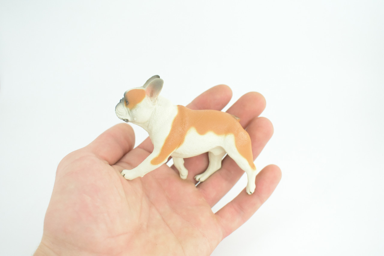 French Bulldog, Bull Dog, Hand Painted, Educational, Museum Quality, Rubber Canine, K9, Realistic, Diorama, Figure, Toys, Kids, Gift, 4 Inches. CH949 BB208