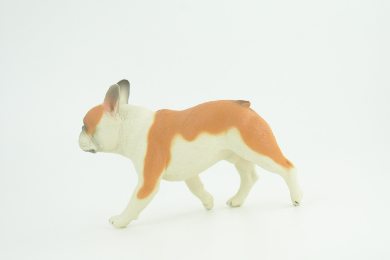 French Bulldog, Bull Dog, Hand Painted, Educational, Museum Quality, Rubber Canine, K9, Realistic, Diorama, Figure, Toys, Kids, Gift,  4 Inches.  CH949 BB208 