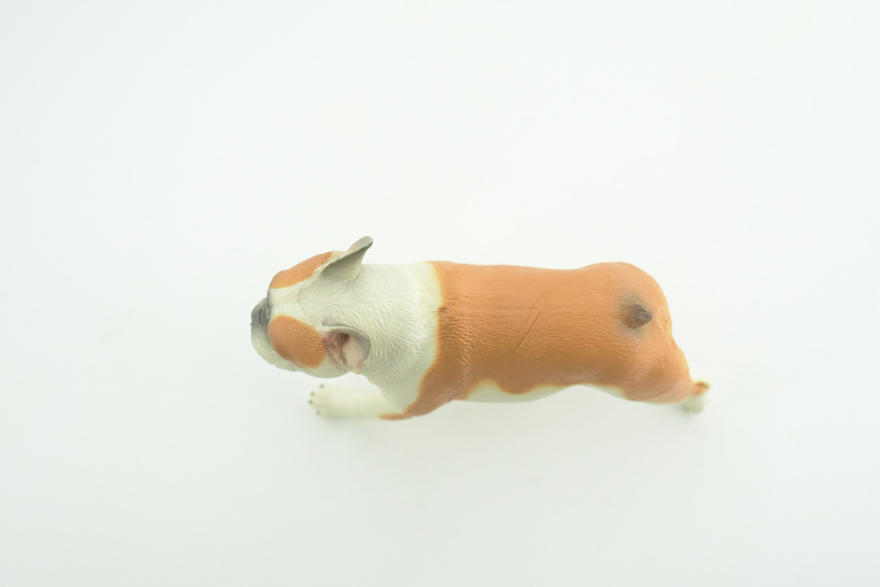 French Bulldog, Bull Dog, Hand Painted, Educational, Museum Quality, Rubber Canine, K9, Realistic, Diorama, Figure, Toys, Kids, Gift,  4 Inches.  CH949 BB208 
