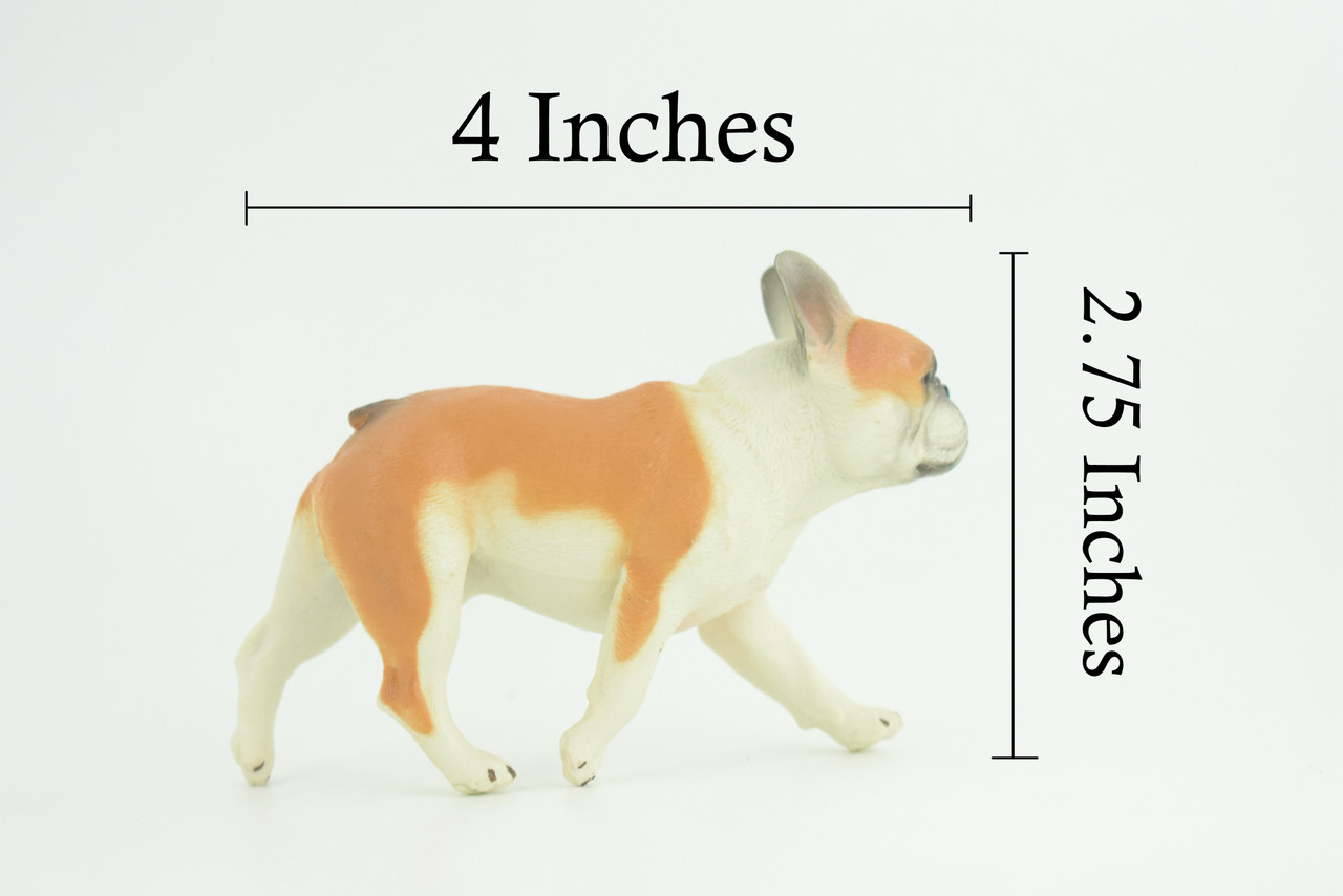 French Bulldog, Bull Dog, Hand Painted, Educational, Museum Quality, Rubber Canine, K9, Realistic, Diorama, Figure, Toys, Kids, Gift, 4 Inches. CH949 BB208