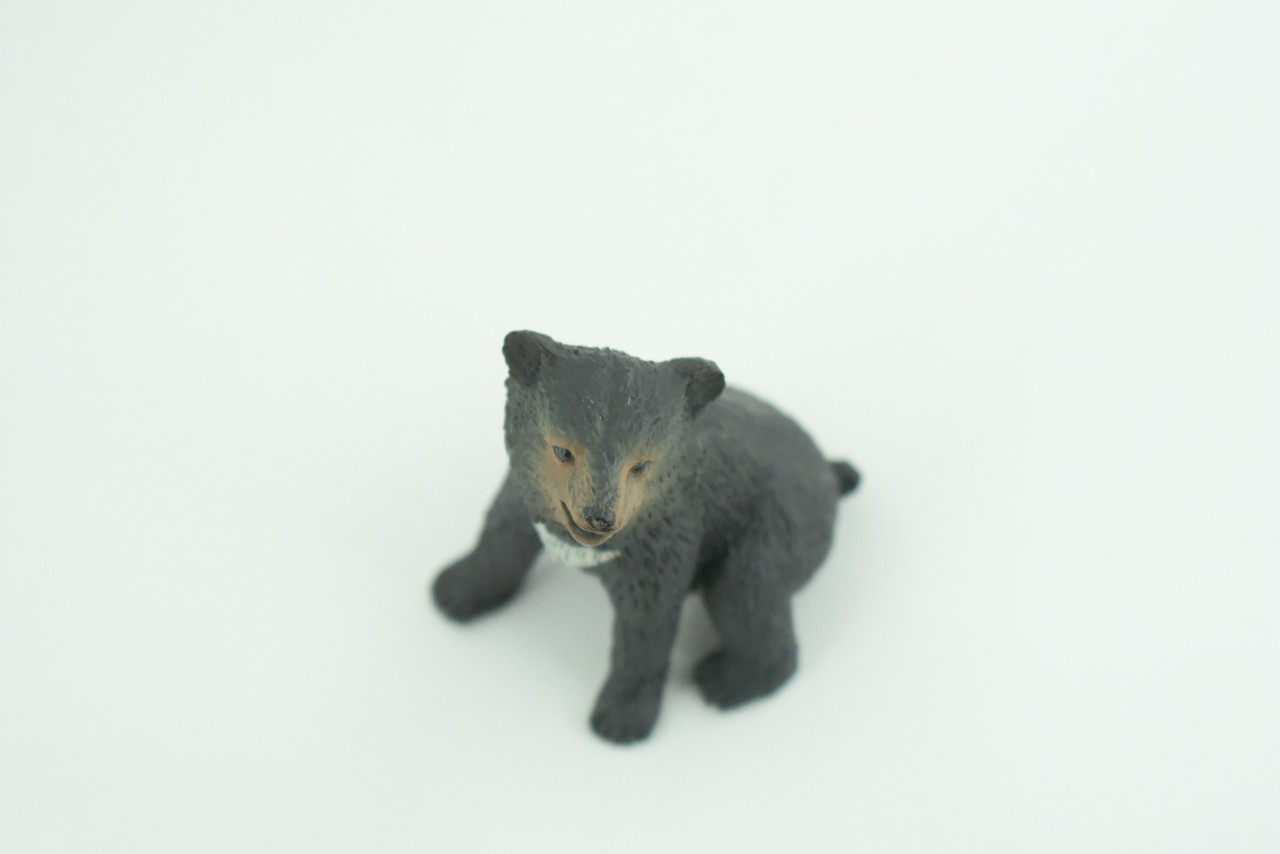 Sun Bear Cub, Sitting, Museum Quality, Educational, Hand Painted, Rubber Animal, Realistic, Diorama, Very Nice Design, Toys, Kids, Gift,   2 1/4 Inches.  CH951 BB209 