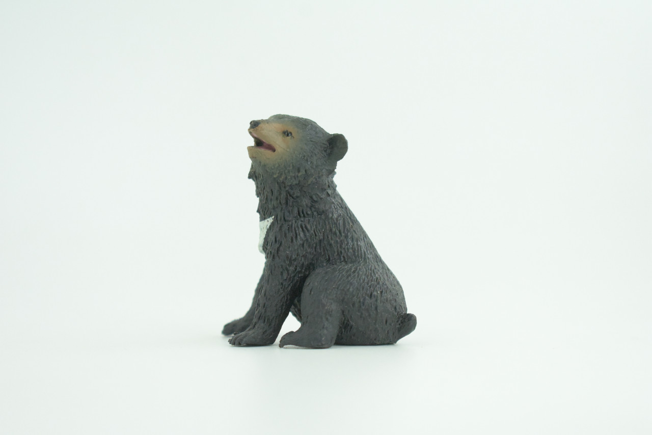 Sun Bear Cub, Sitting, Museum Quality, Educational, Hand Painted, Rubber Animal, Realistic, Diorama, Very Nice Design, Toys, Kids, Gift,   2 1/4 Inches.  CH951 BB209 