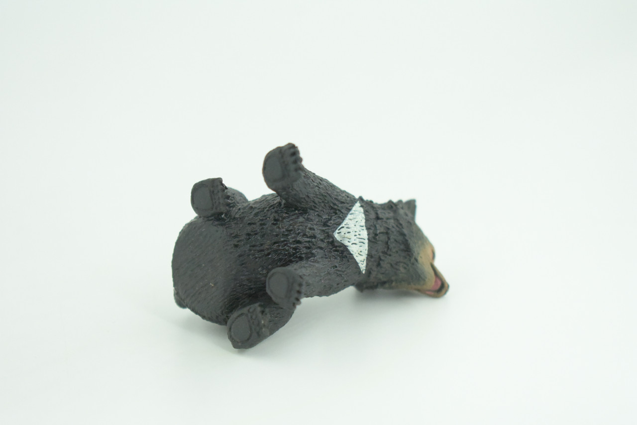 Sun Bear Cub, Sitting, Museum Quality, Educational, Hand Painted, Rubber Animal, Realistic, Diorama, Very Nice Design, Toys, Kids, Gift,   2 1/4 Inches.  CH951 BB209 