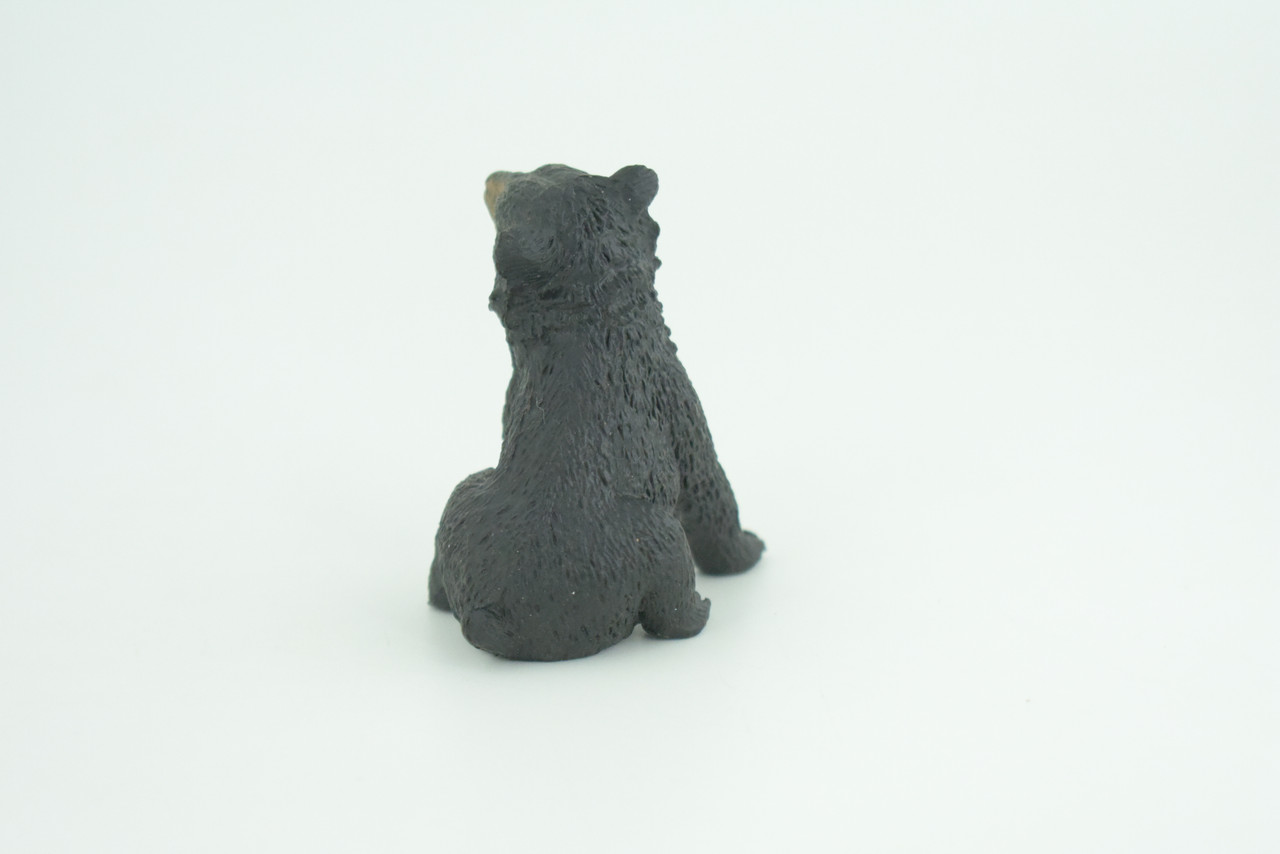 Sun Bear Cub, Sitting, Museum Quality, Educational, Hand Painted, Rubber Animal, Realistic, Diorama, Very Nice Design, Toys, Kids, Gift,   2 1/4 Inches.  CH951 BB209 