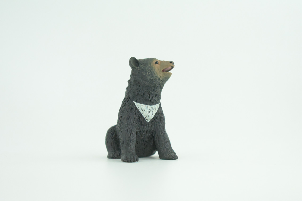 Sun Bear Cub, Sitting, Museum Quality, Educational, Hand Painted, Rubber Animal, Realistic, Diorama, Very Nice Design, Toys, Kids, Gift,   2 1/4 Inches.  CH951 BB209 