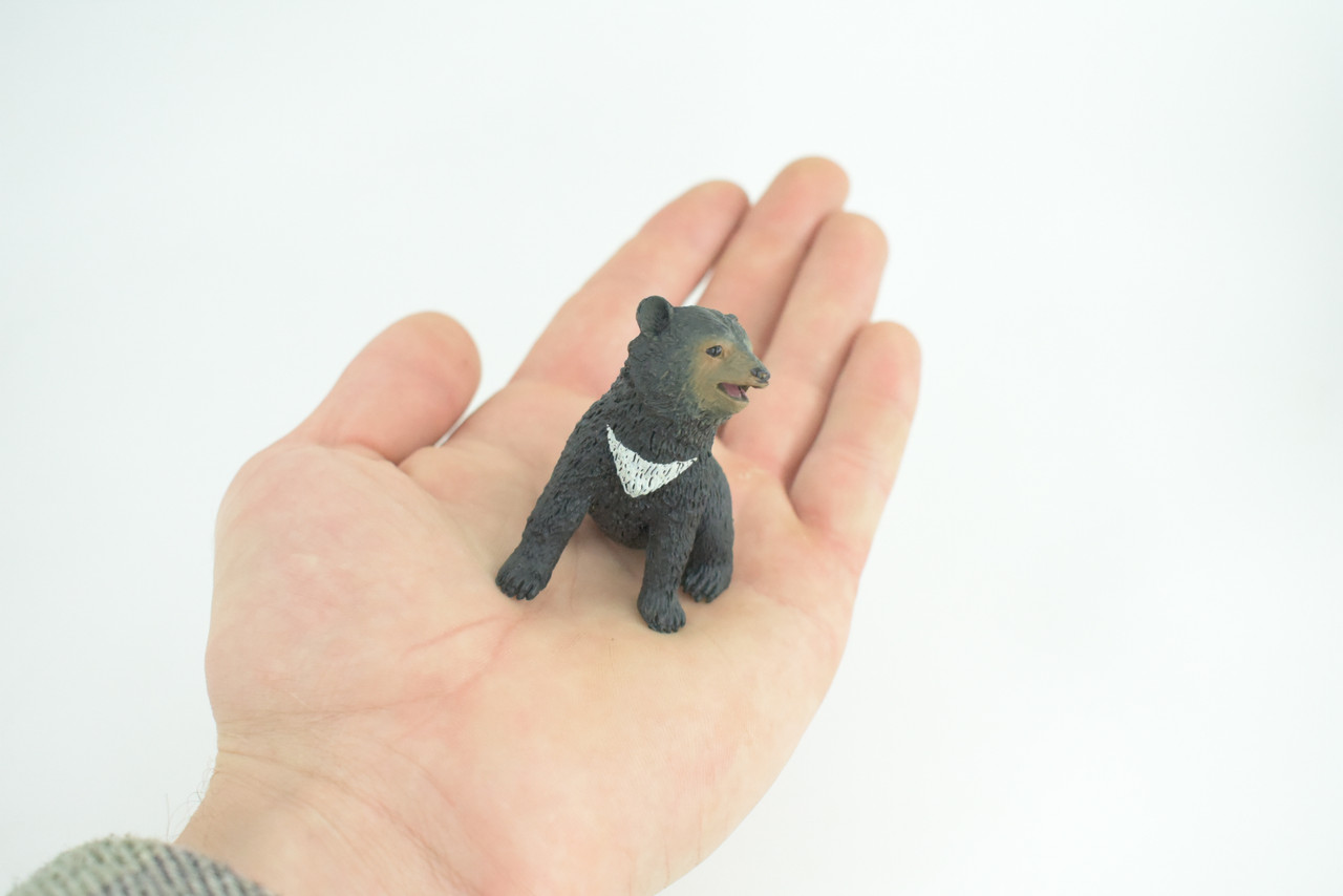 Sun Bear Cub, Sitting, Museum Quality, Educational, Hand Painted, Rubber Animal, Realistic, Diorama, Very Nice Design, Toys, Kids, Gift, 2 1/4 Inches. CH951 BB209