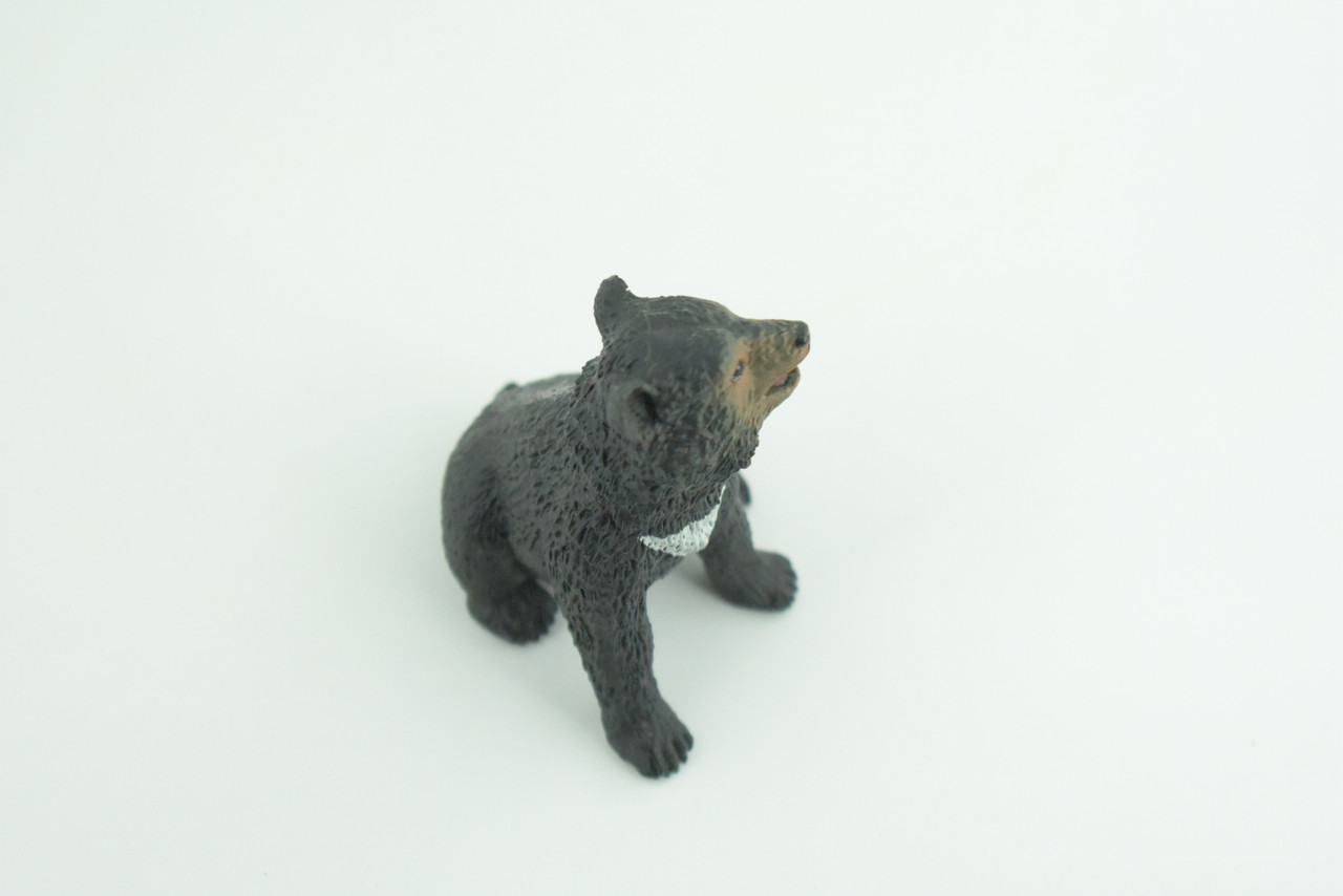 Sun Bear Cub, Sitting, Museum Quality, Educational, Hand Painted, Rubber Animal, Realistic, Diorama, Very Nice Design, Toys, Kids, Gift,   2 1/4 Inches.  CH951 BB209 