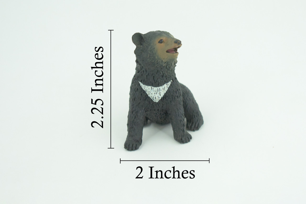Sun Bear Cub, Sitting, Museum Quality, Educational, Hand Painted, Rubber Animal, Realistic, Diorama, Very Nice Design, Toys, Kids, Gift, 2 1/4 Inches. CH951 BB209