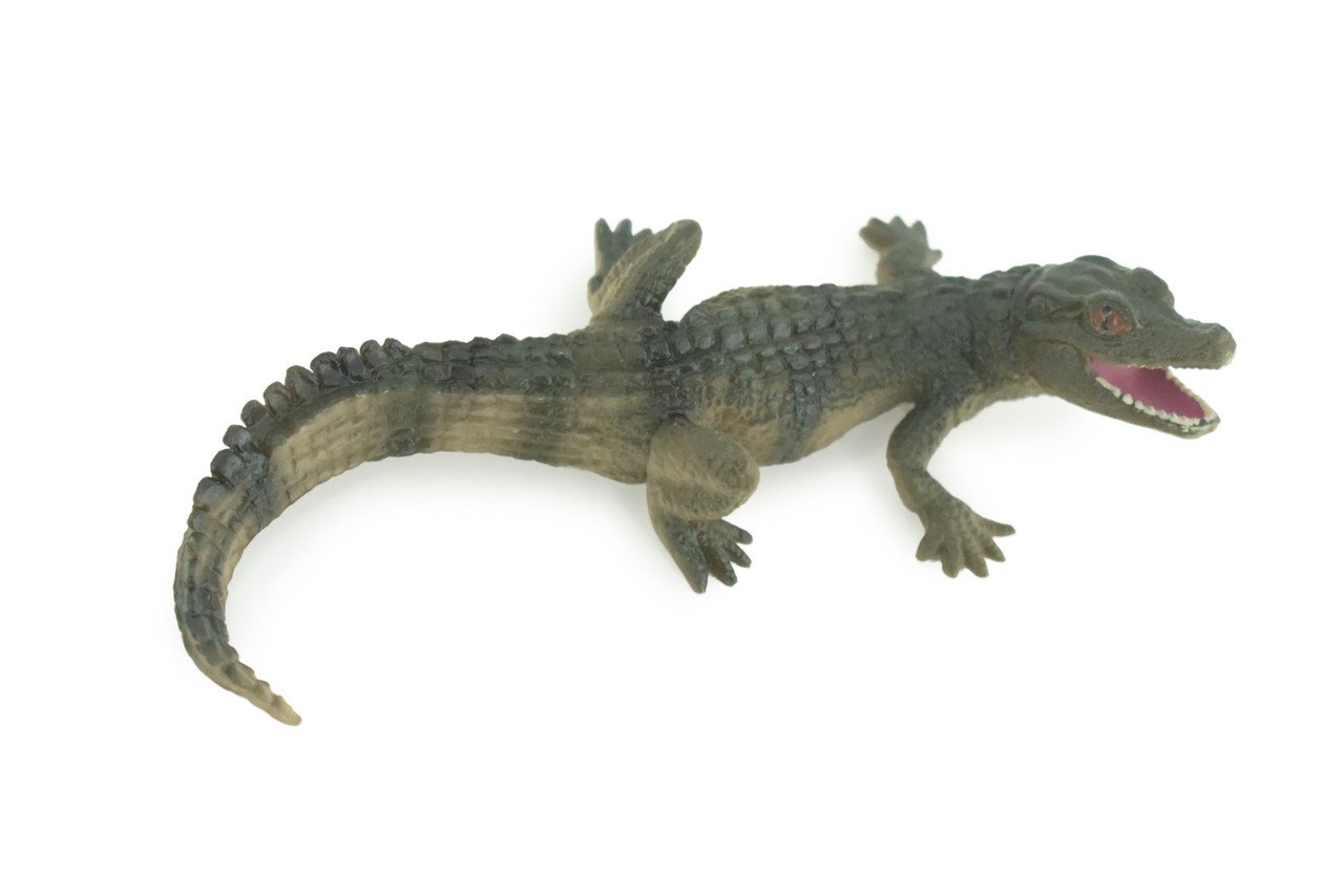 Alligator Baby, Crocodile, Museum Quality, Educational, Hand Painted, Rubber Reptile, Realistic, Diorama, Very Nice Design, Toys, Kids, Gift, 4 1/2 Inches. CH952 BB209 