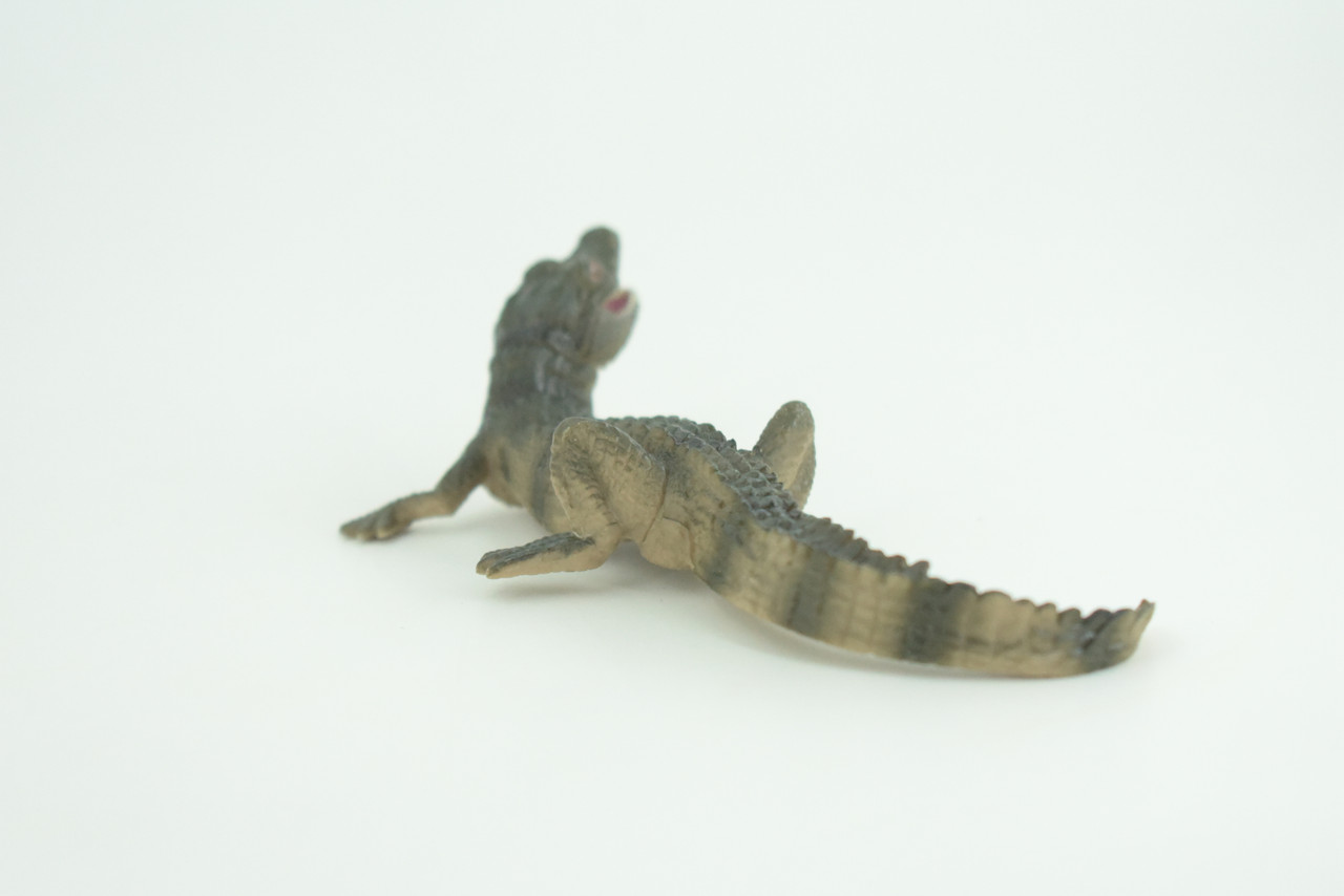 Alligator Baby, Crocodile, Museum Quality, Educational, Hand Painted, Rubber Reptile, Realistic, Diorama, Very Nice Design, Toys, Kids, Gift,   4 1/2 Inches.  CH952 BB209 