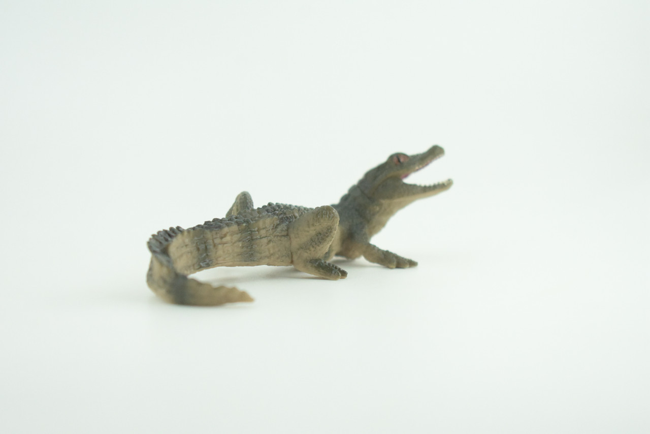 Alligator Baby, Crocodile, Museum Quality, Educational, Hand Painted, Rubber Reptile, Realistic, Diorama, Very Nice Design, Toys, Kids, Gift,   4 1/2 Inches.  CH952 BB209 