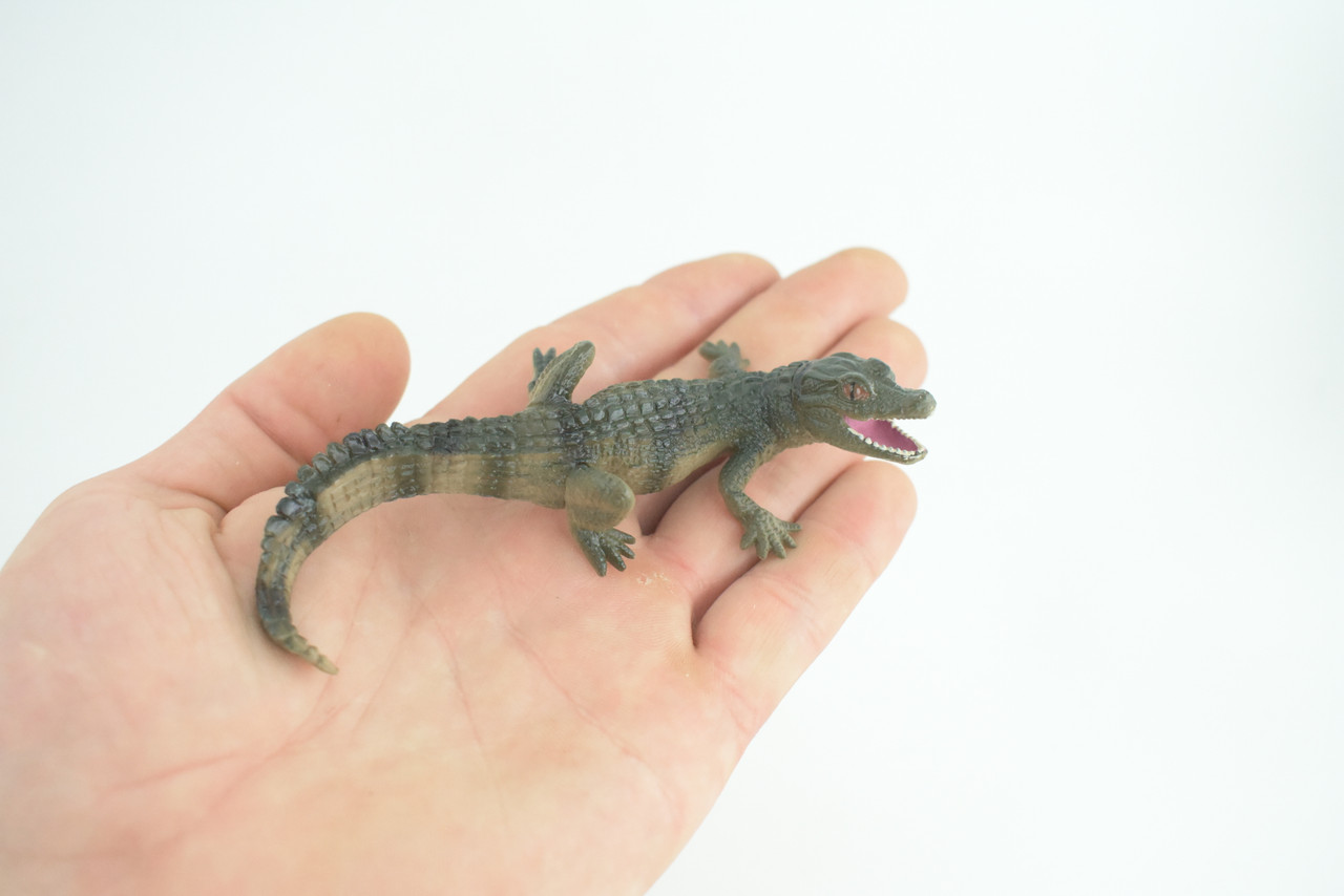 Alligator Baby, Crocodile, Museum Quality, Educational, Hand Painted, Rubber Reptile, Realistic, Diorama, Very Nice Design, Toys, Kids, Gift, 4 1/2 Inches. CH952 BB209 