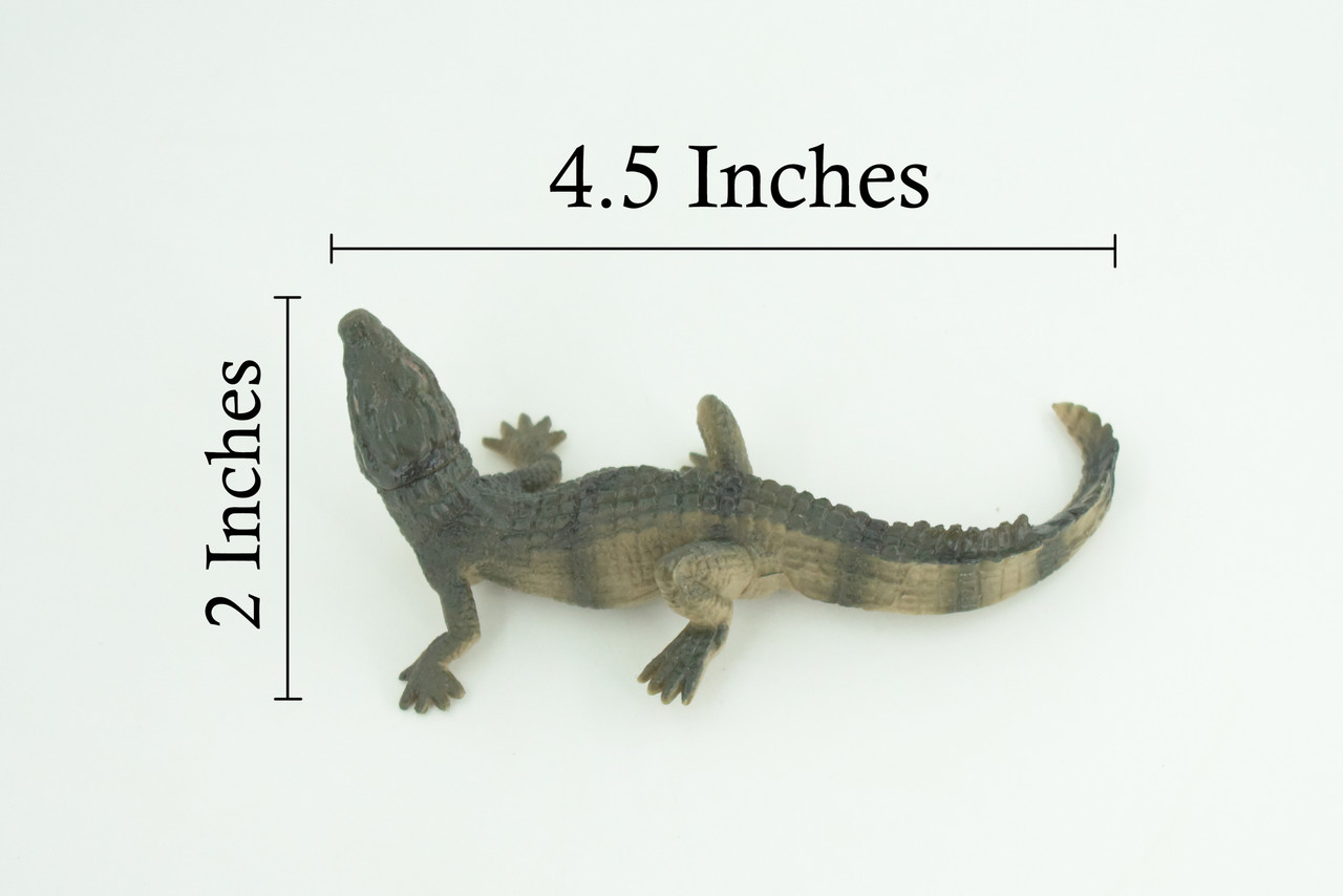 Alligator Baby, Crocodile, Museum Quality, Educational, Hand Painted, Rubber Reptile, Realistic, Diorama, Very Nice Design, Toys, Kids, Gift, 4 1/2 Inches. CH952 BB209 