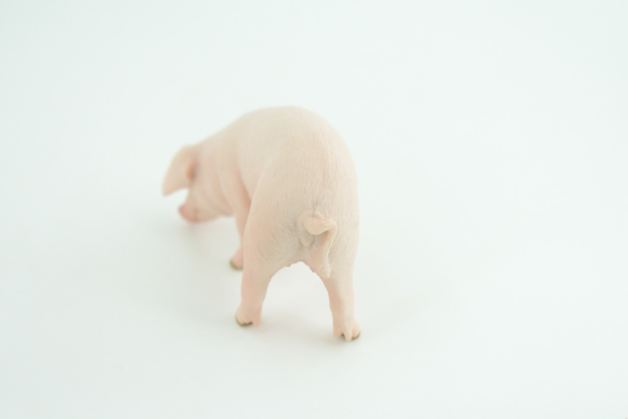 Pig, Sow, Museum Quality, Educational, Hand Painted, Rubber Animal, Female Pig, Realistic, Diorama, Very Nice Design, Toy, Kids, Gift,  3 1/2  Inches.  CH954 BB209 