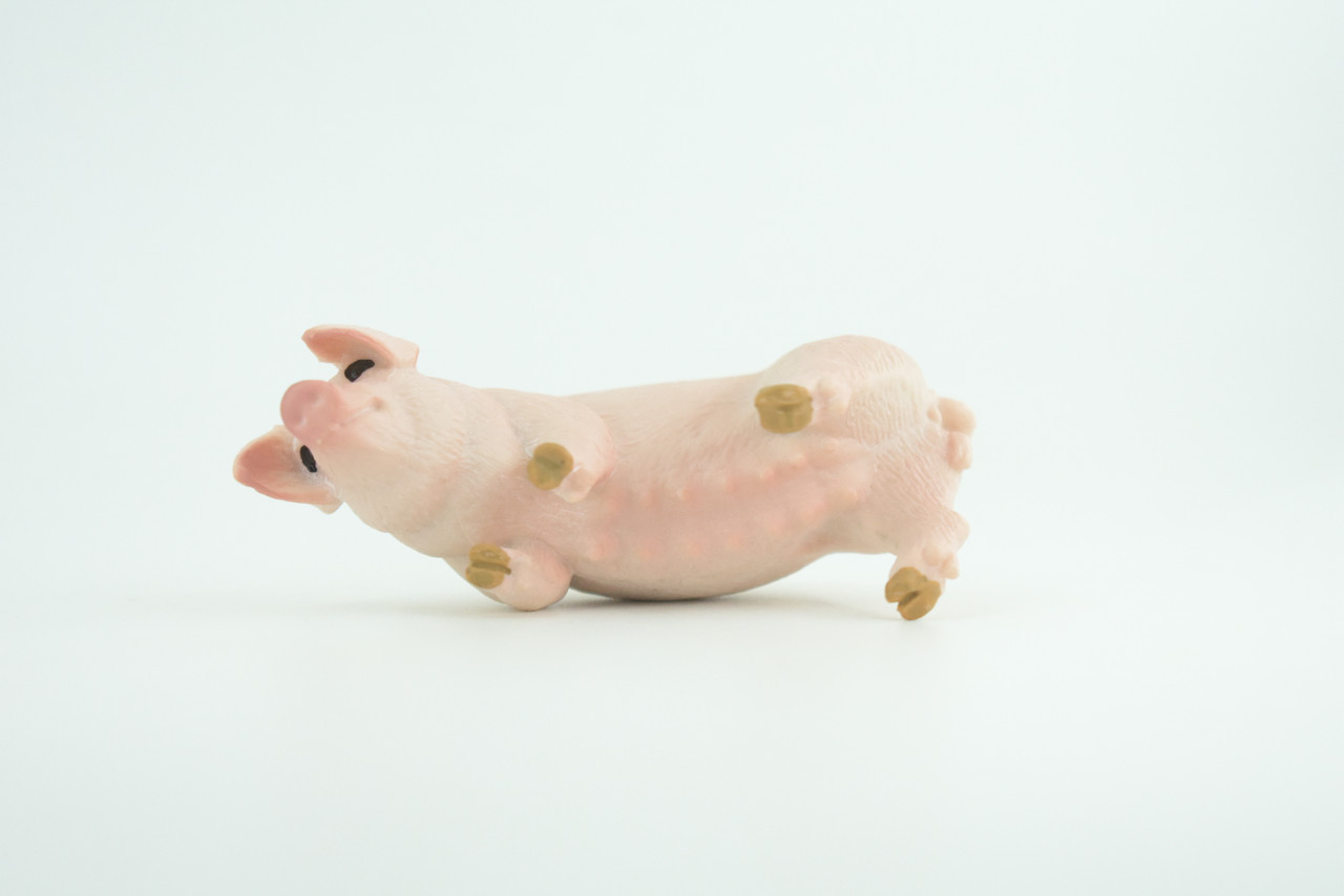 Pig, Sow, Museum Quality, Educational, Hand Painted, Rubber Animal, Female Pig, Realistic, Diorama, Very Nice Design, Toy, Kids, Gift,  3 1/2  Inches.  CH954 BB209 