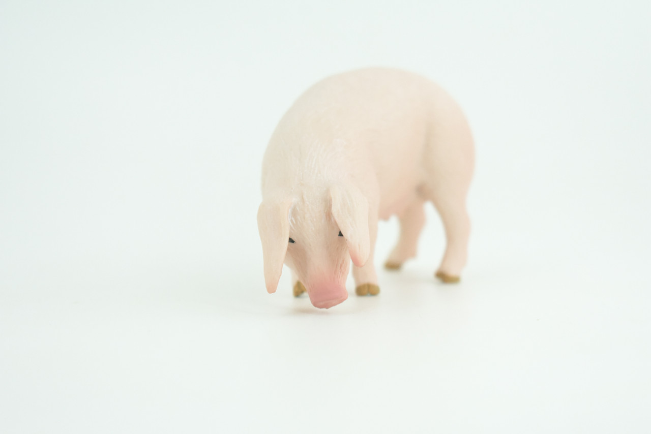 Pig, Sow, Museum Quality, Educational, Hand Painted, Rubber Animal, Female Pig, Realistic, Diorama, Very Nice Design, Toy, Kids, Gift,  3 1/2  Inches.  CH954 BB209 