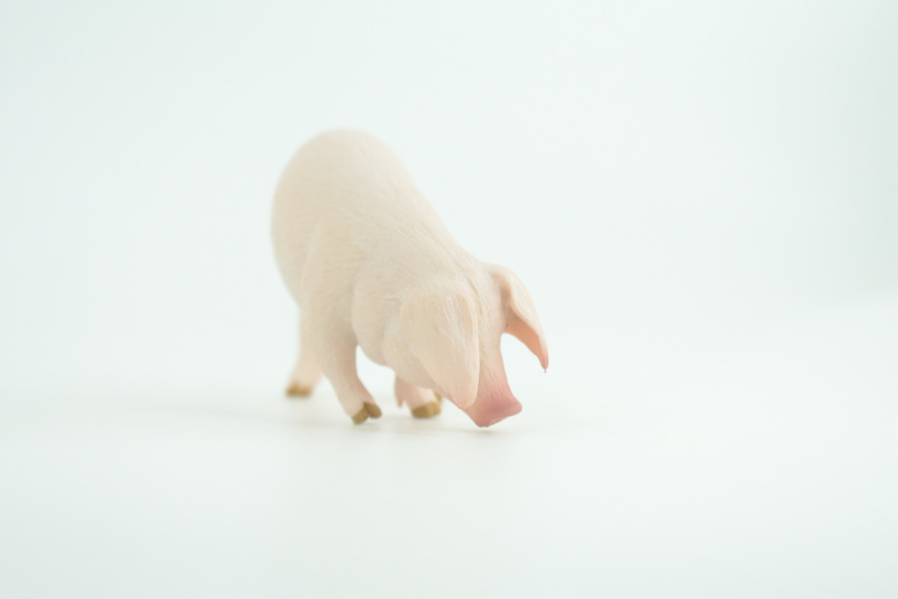 Pig, Sow, Museum Quality, Educational, Hand Painted, Rubber Animal, Female Pig, Realistic, Diorama, Very Nice Design, Toy, Kids, Gift,  3 1/2  Inches.  CH954 BB209 