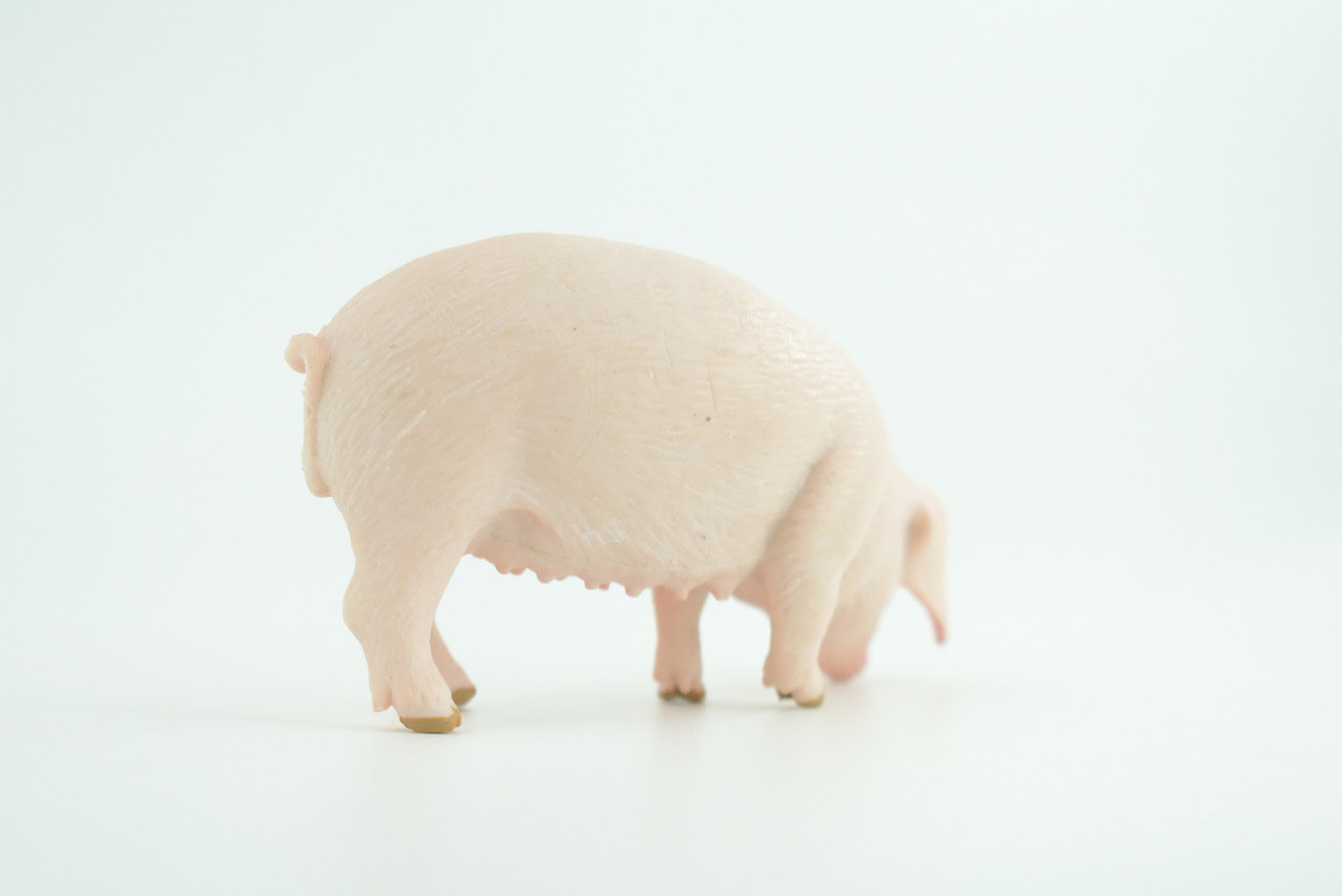 Pig, Sow, Museum Quality, Educational, Hand Painted, Rubber Animal, Female Pig, Realistic, Diorama, Very Nice Design, Toy, Kids, Gift,  3 1/2  Inches.  CH954 BB209 