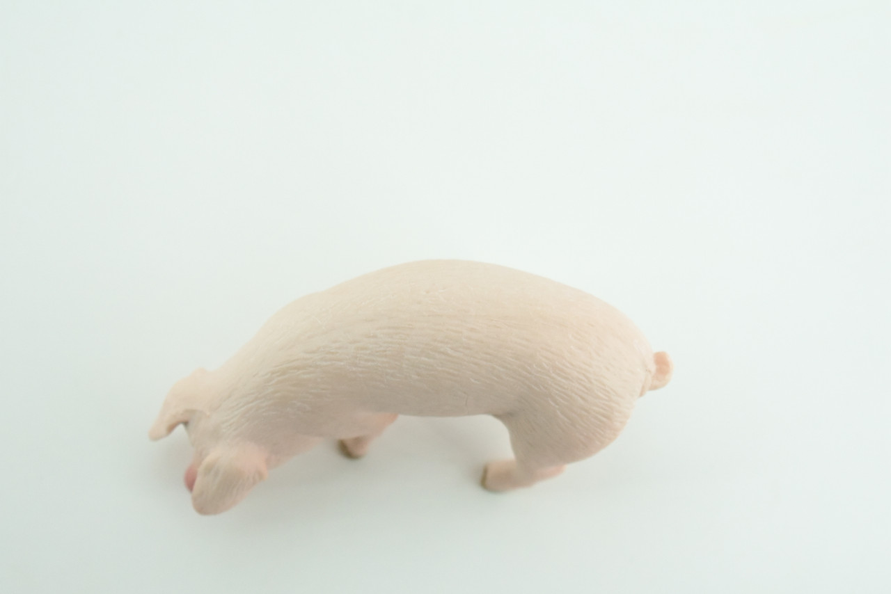 Pig, Sow, Museum Quality, Educational, Hand Painted, Rubber Animal, Female Pig, Realistic, Diorama, Very Nice Design, Toy, Kids, Gift,  3 1/2  Inches.  CH954 BB209 