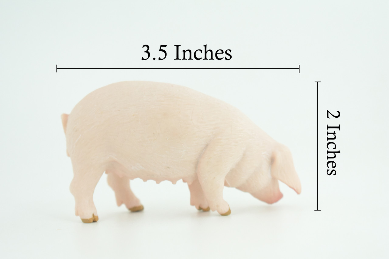 Pig, Sow, Museum Quality, Educational, Hand Painted, Rubber Animal, Female Pig, Realistic, Diorama, Very Nice Design, Toy, Kids, Gift, 3 1/2 Inches. CH954 BB209