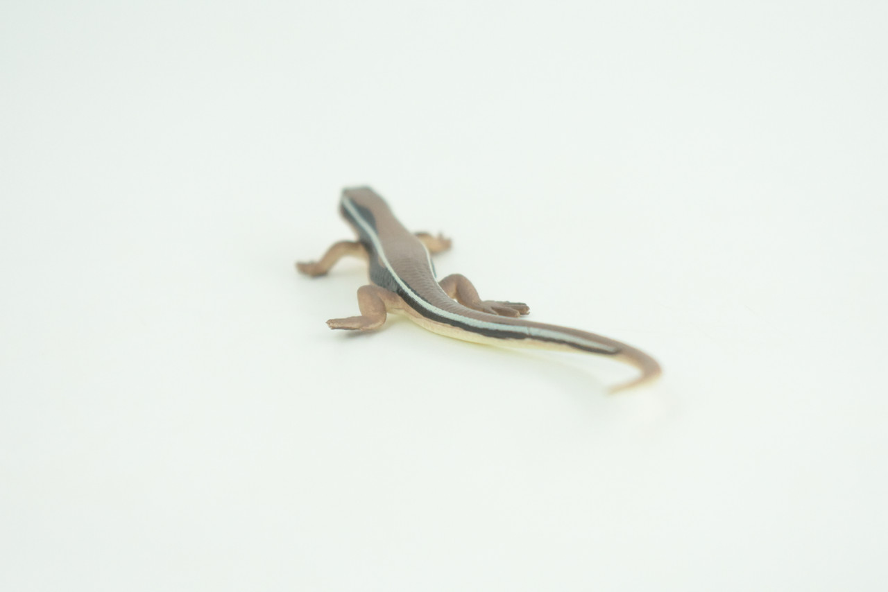Lizard, Wall Skink, Hand Painted, Museum Quality, Educational, Rubber Reptile, Realistic, Diorama, Very Nice Design, Toys, Kids, Gift,   4 Inches.  CH955 BB209 