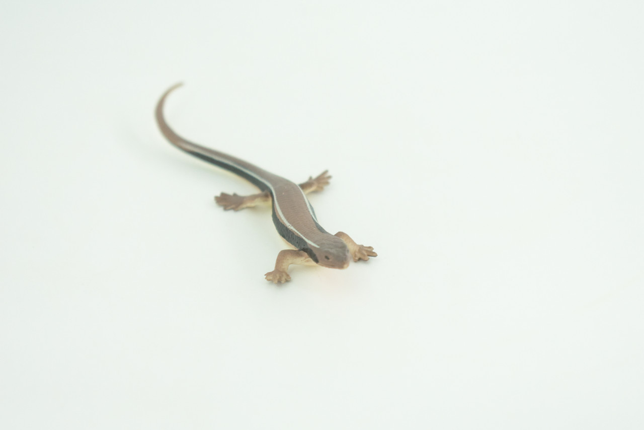 Lizard, Wall Skink, Hand Painted, Museum Quality, Educational, Rubber Reptile, Realistic, Diorama, Very Nice Design, Toys, Kids, Gift,   4 Inches.  CH955 BB209 