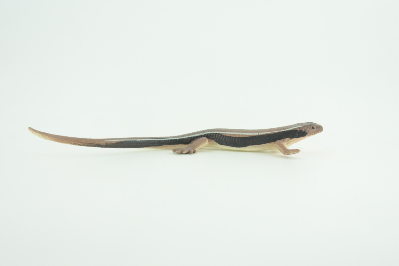 Lizard, Wall Skink, Hand Painted, Museum Quality, Educational, Rubber Reptile, Realistic, Diorama, Very Nice Design, Toys, Kids, Gift,   4 Inches.  CH955 BB209 