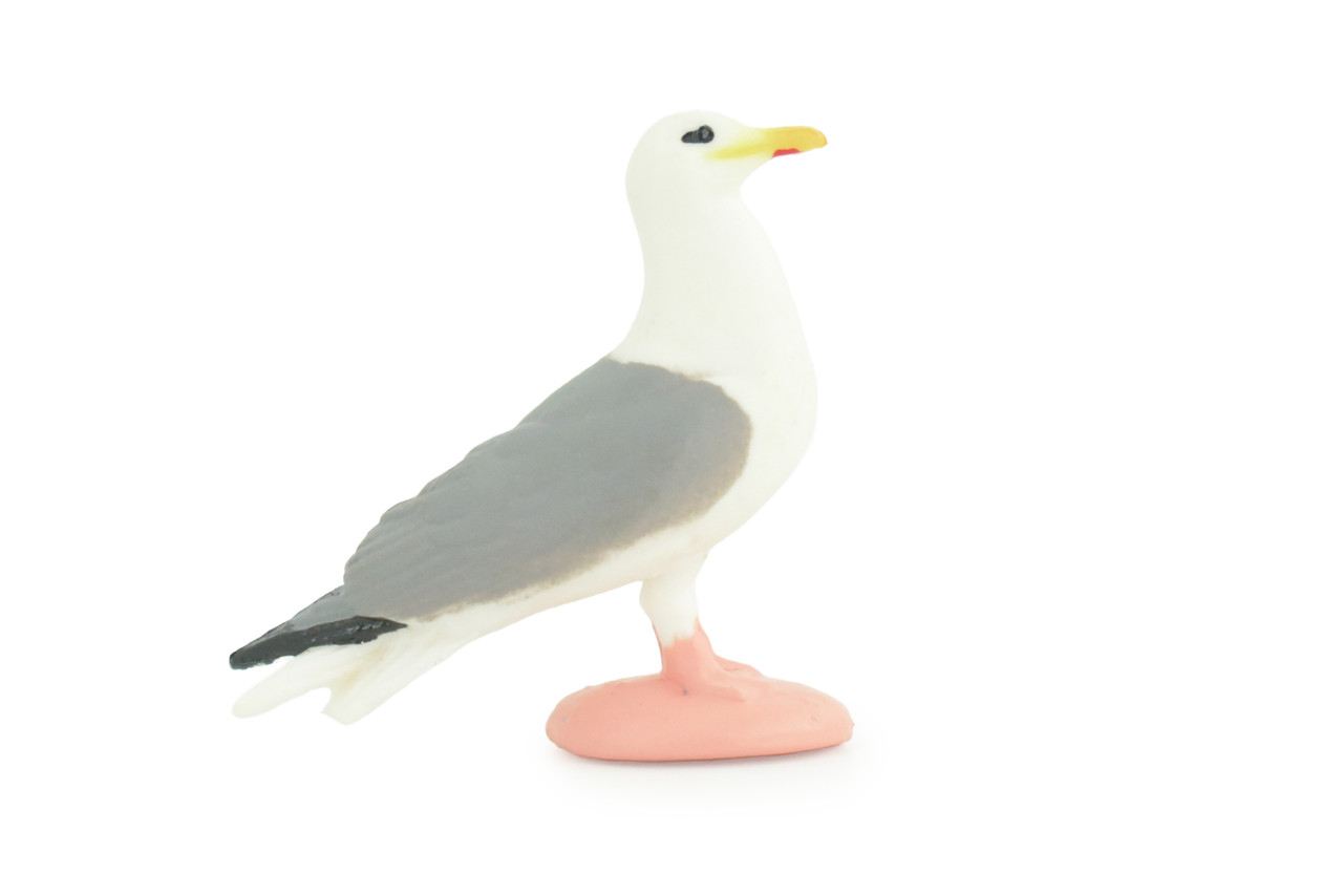  Seagull, Kittiwake, Hand Painted, Educational, Hard Rubber Bird, Realistic, Diorama, Very Nice Design, Toys, Kids, Gift, 1 1/2 Inches. CH956 BB209