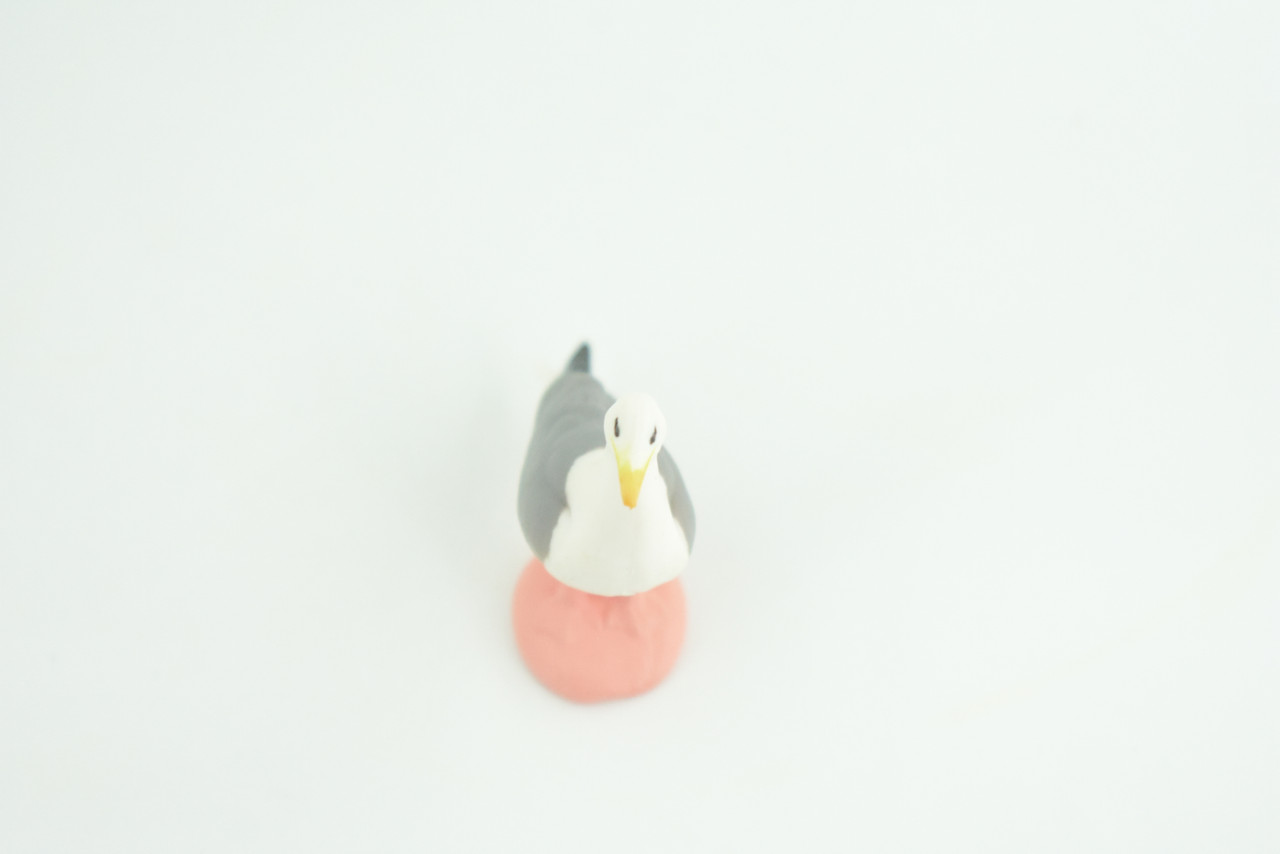 Seagull, Kittiwake, Hand Painted, Educational, Hard Rubber Bird, Realistic, Diorama, Very Nice Design, Toys, Kids, Gift,   1 1/2 Inches.  CH956 BB209 