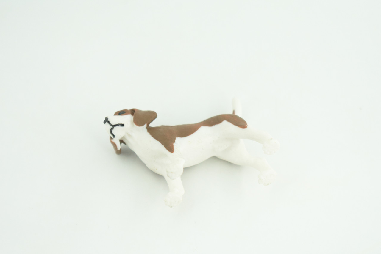 Beagle Dog, Hand Painted, Educational, Museum Quality, Rubber Canine, K9, Realistic, Diorama, Figure, Toys, Kids, Gift,  2 1/2  Inches.  CH958 BB209 