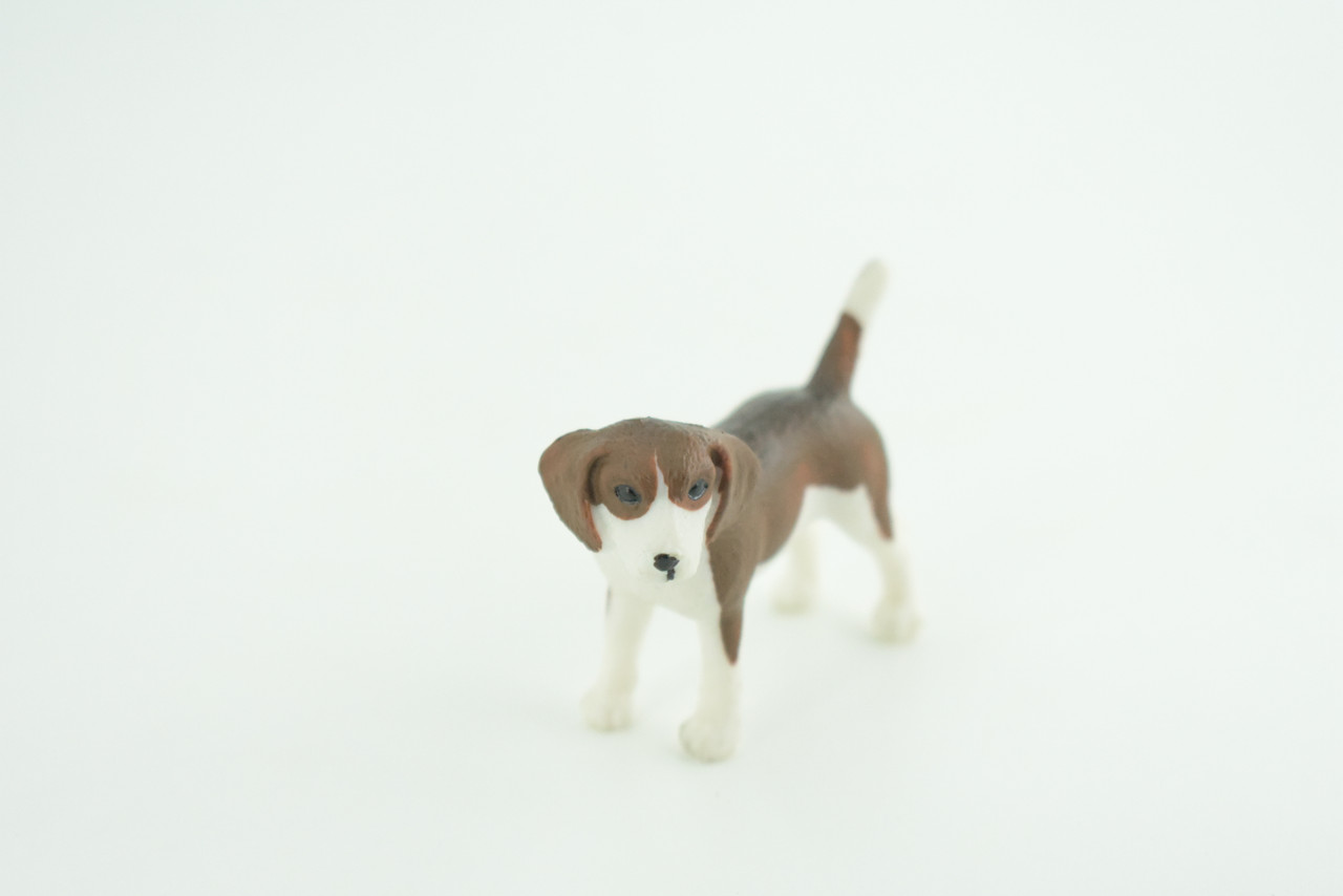 Beagle Dog, Hand Painted, Educational, Museum Quality, Rubber Canine, K9, Realistic, Diorama, Figure, Toys, Kids, Gift,  2 1/2  Inches.  CH958 BB209 