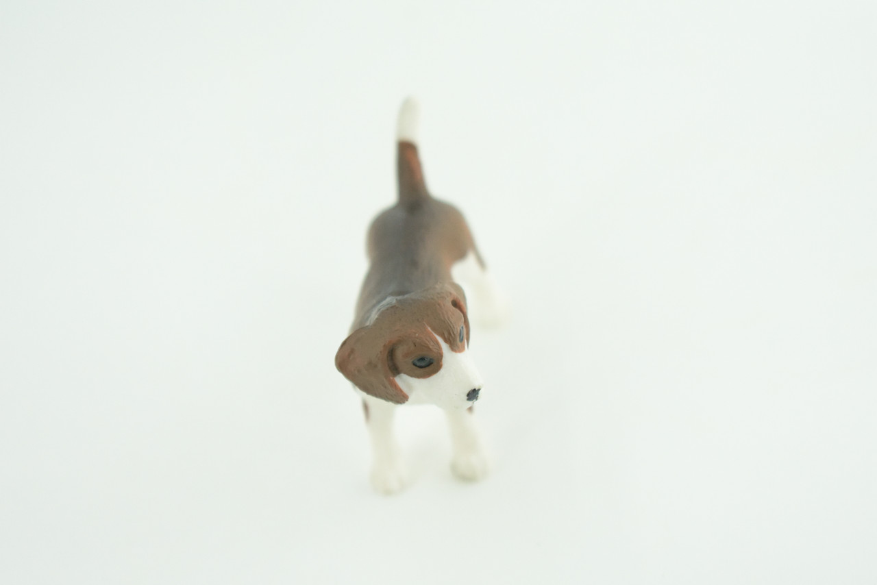 Beagle Dog, Hand Painted, Educational, Museum Quality, Rubber Canine, K9, Realistic, Diorama, Figure, Toys, Kids, Gift,  2 1/2  Inches.  CH958 BB209 