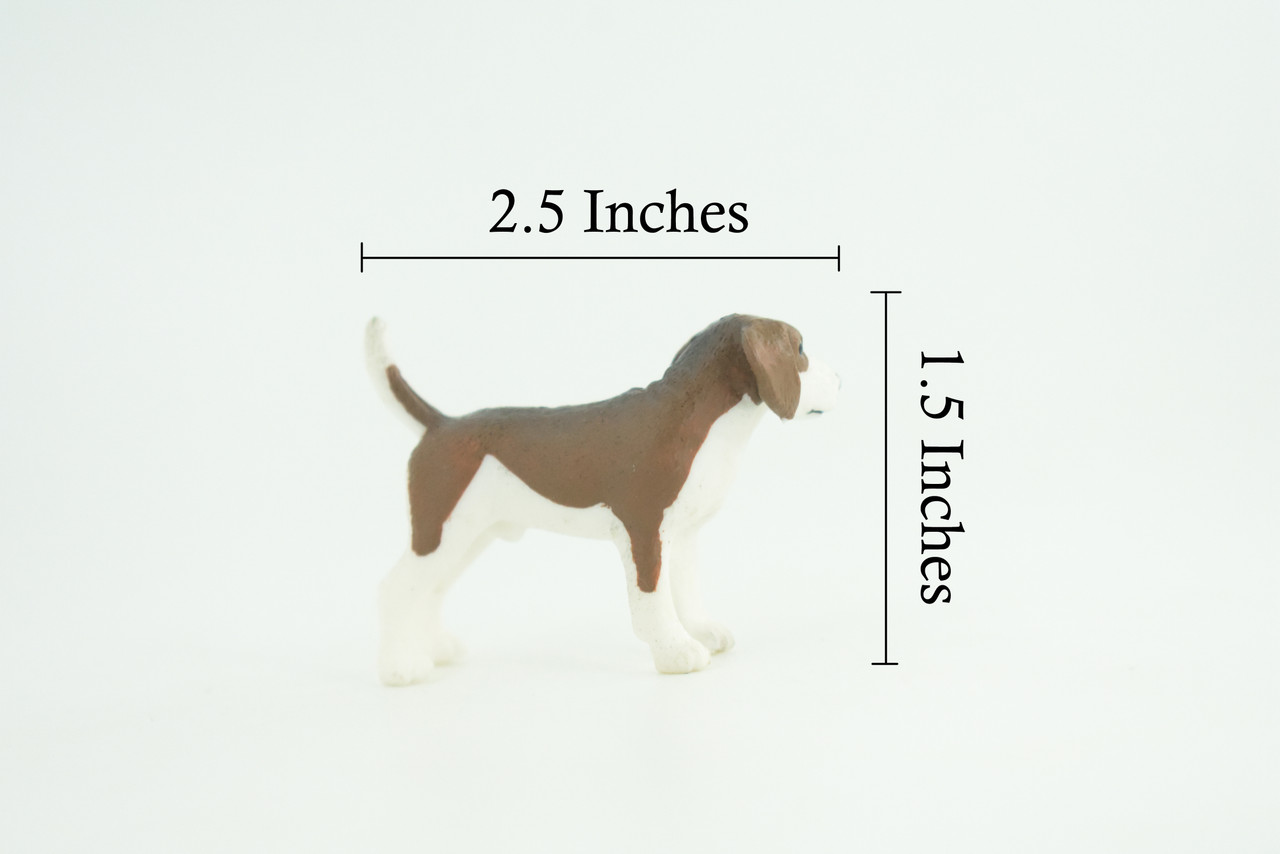 Beagle Dog, Hand Painted, Educational, Museum Quality, Rubber Canine, K9, Realistic, Diorama, Figure, Toys, Kids, Gift, 2 1/2 Inches. CH958 BB209