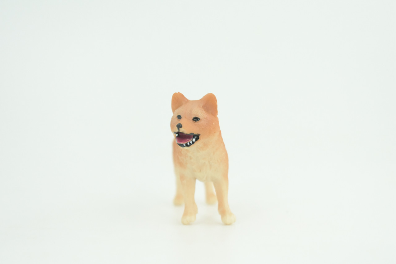 Shiba Inu Dog, Puppy, Museum Quality, Hand Painted, Educational, Very Nice Rubber Canine, Realistic, K9, Diorama, Toys, Kids, Gift,   2 1/4 Inches.  CH959 BB209