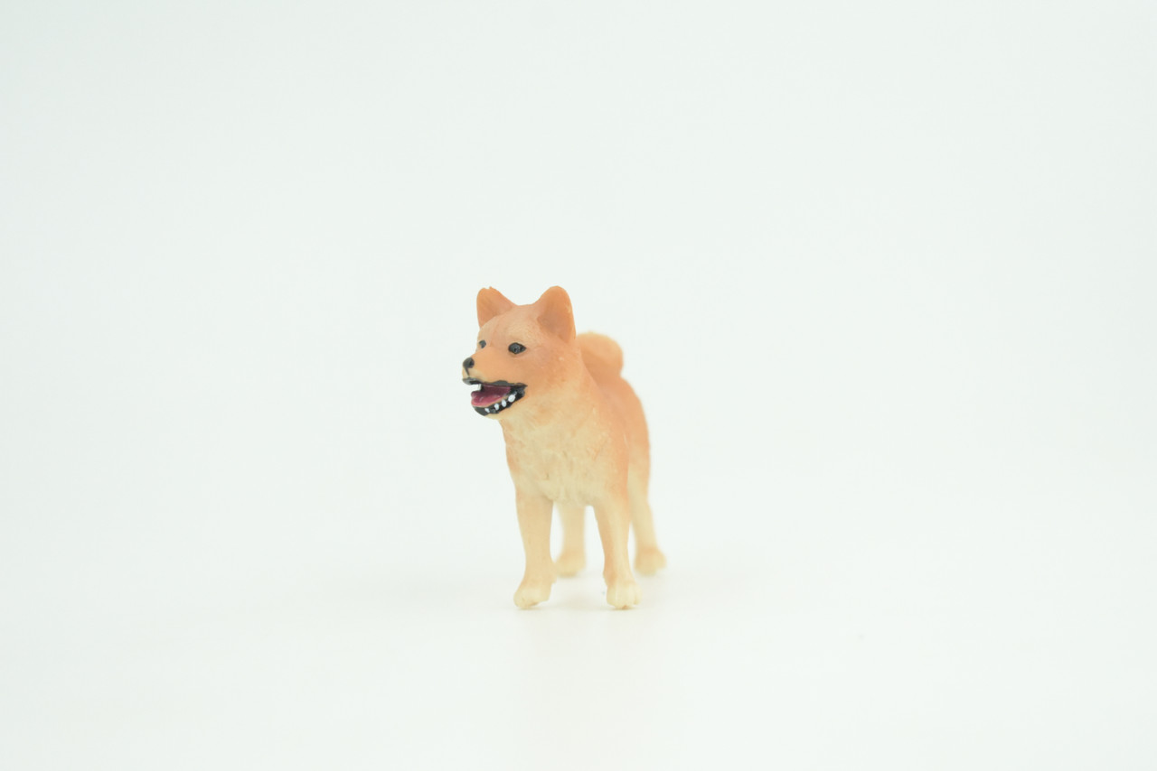 Shiba Inu Dog, Puppy, Museum Quality, Hand Painted, Educational, Very Nice Rubber Canine, Realistic, K9, Diorama, Toys, Kids, Gift,   2 1/4 Inches.  CH959 BB209