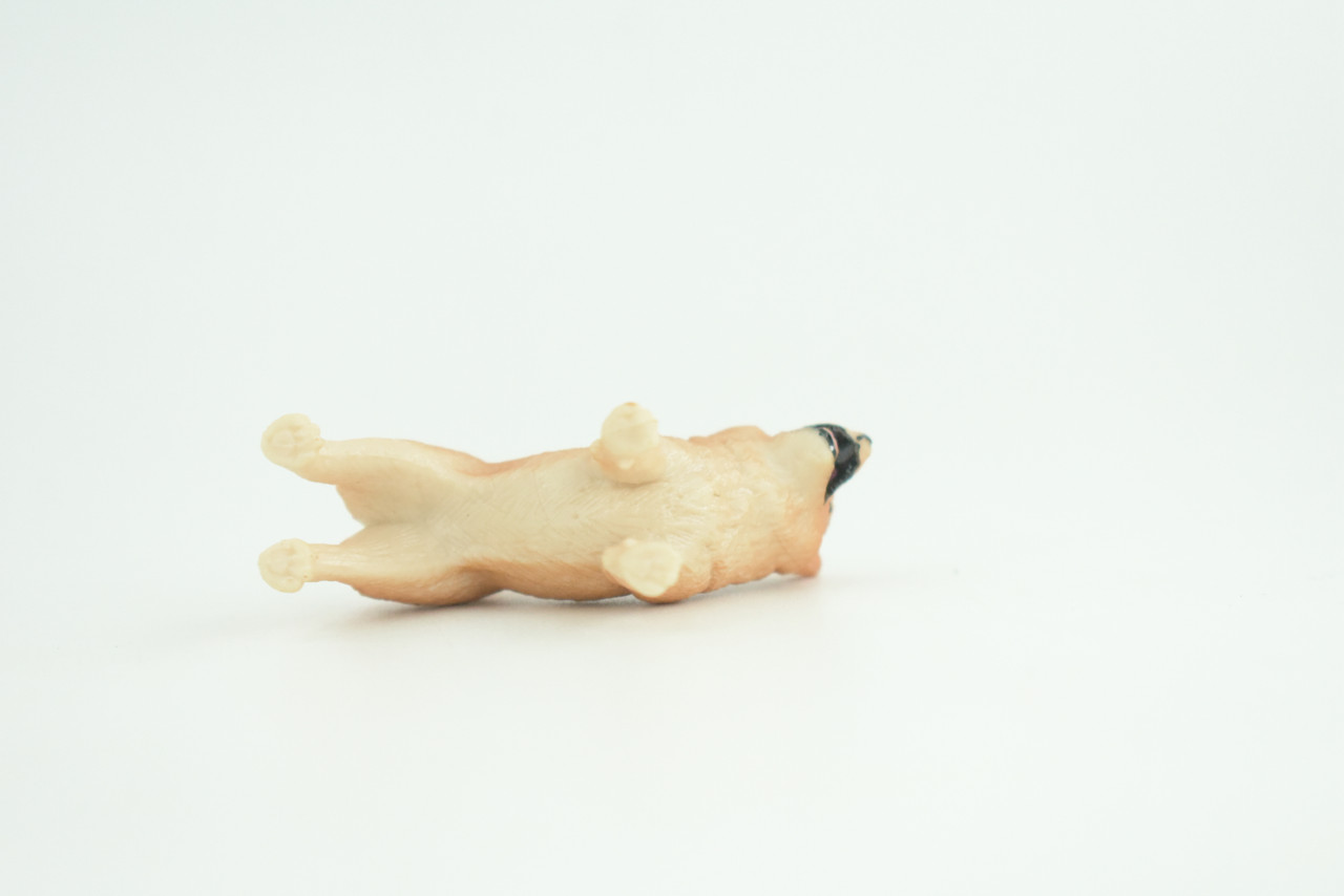 Shiba Inu Dog, Puppy, Museum Quality, Hand Painted, Educational, Very Nice Rubber Canine, Realistic, K9, Diorama, Toys, Kids, Gift,   2 1/4 Inches.  CH959 BB209