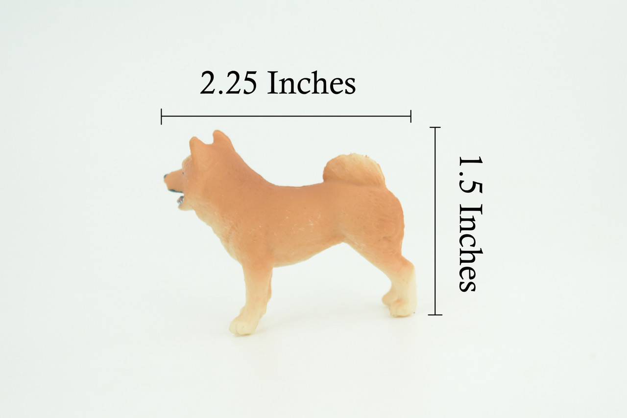 Shiba Inu Dog, Puppy, Museum Quality, Hand Painted, Educational, Very Nice Rubber Canine, Realistic, K9, Diorama, Toys, Kids, Gift, 2 1/4 Inches. CH959 BB209