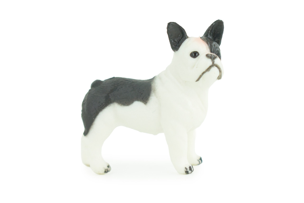 French Bulldog, Puppy, Bull Dog, Hand Painted, Educational, Museum Quality, Rubber Canine, K9, Realistic, Diorama, Figure, Toys, Kids, Gift, 2 Inches. CH960 BB209
