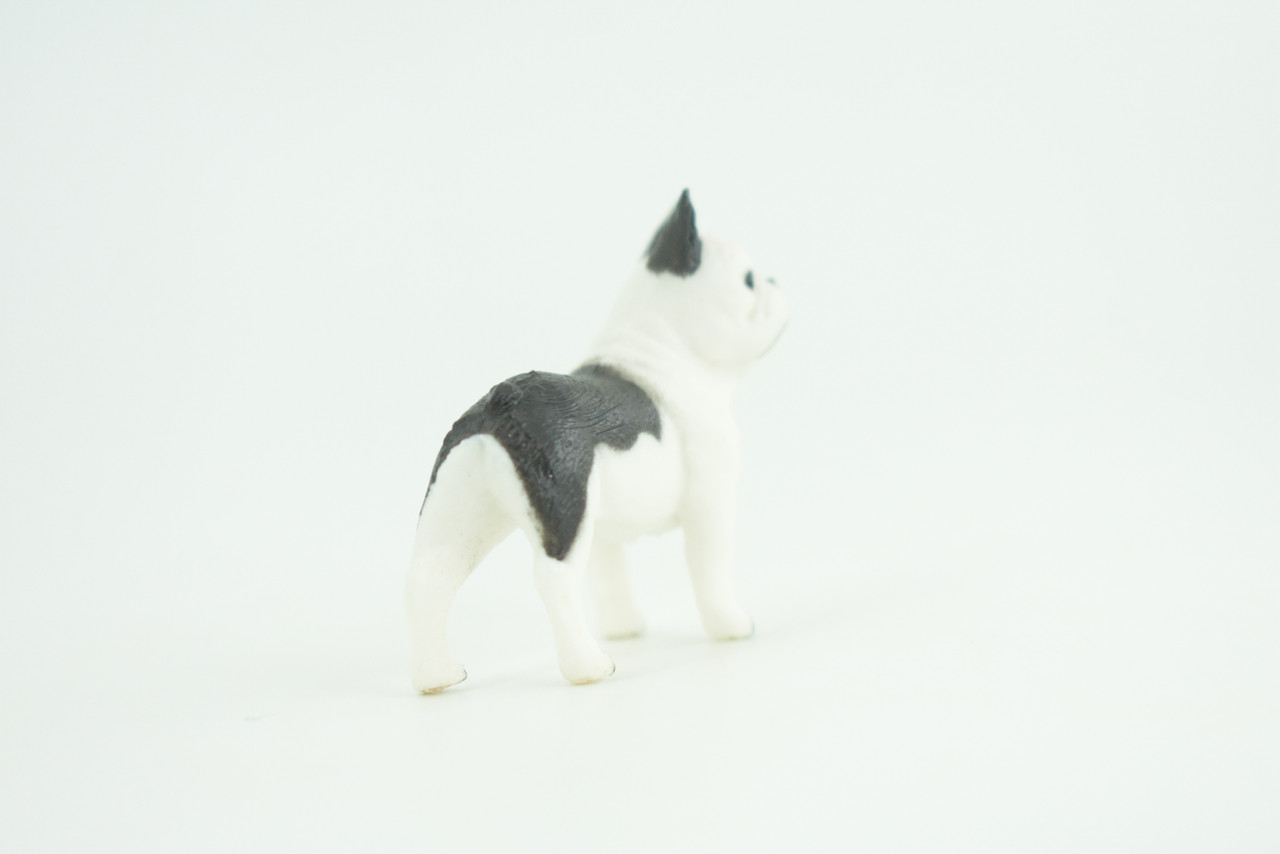 French Bulldog, Puppy, Bull Dog, Hand Painted, Educational, Museum Quality, Rubber Canine, K9, Realistic, Diorama, Figure, Toys, Kids, Gift,  2 Inches.  CH960 BB209 