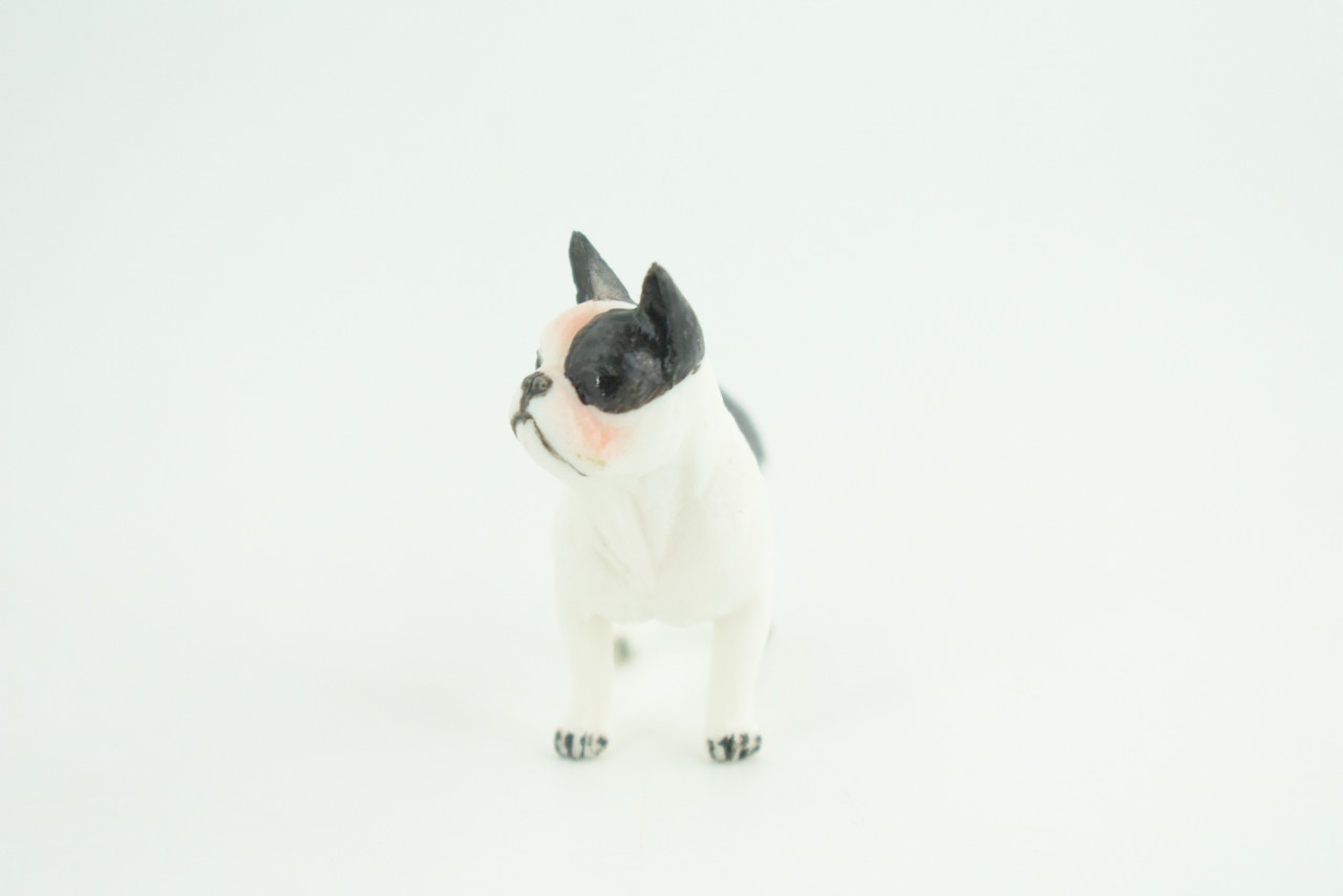 French Bulldog, Puppy, Bull Dog, Hand Painted, Educational, Museum Quality, Rubber Canine, K9, Realistic, Diorama, Figure, Toys, Kids, Gift,  2 Inches.  CH960 BB209 