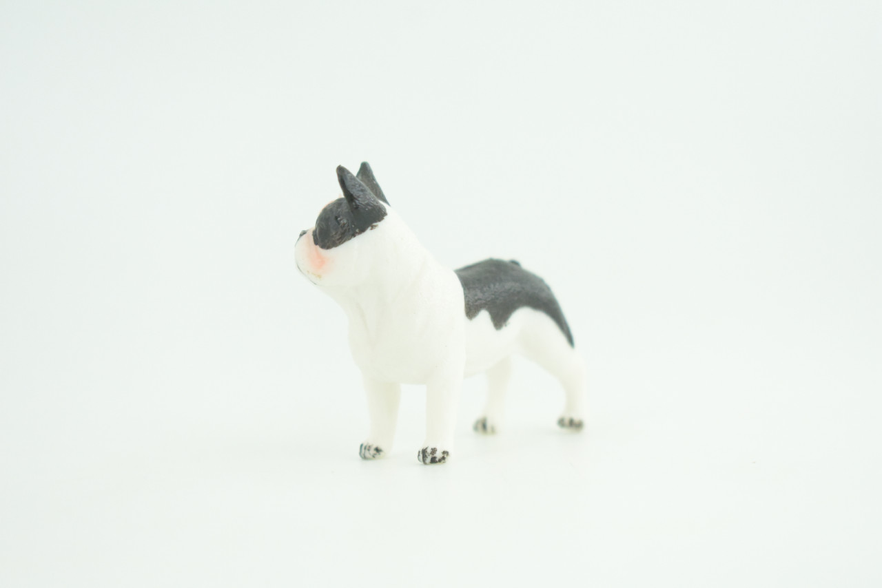French Bulldog, Puppy, Bull Dog, Hand Painted, Educational, Museum Quality, Rubber Canine, K9, Realistic, Diorama, Figure, Toys, Kids, Gift,  2 Inches.  CH960 BB209 