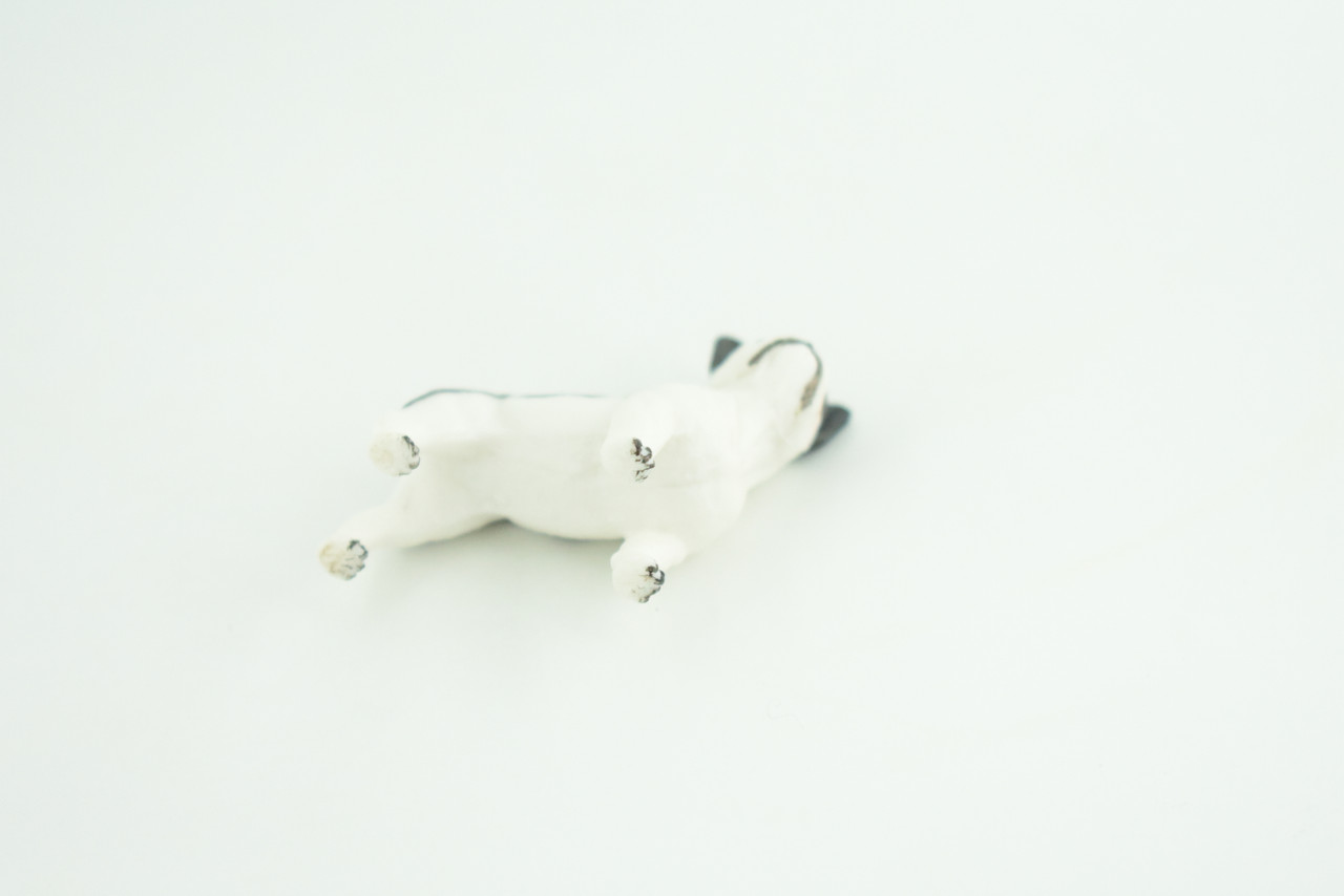 French Bulldog, Puppy, Bull Dog, Hand Painted, Educational, Museum Quality, Rubber Canine, K9, Realistic, Diorama, Figure, Toys, Kids, Gift,  2 Inches.  CH960 BB209 