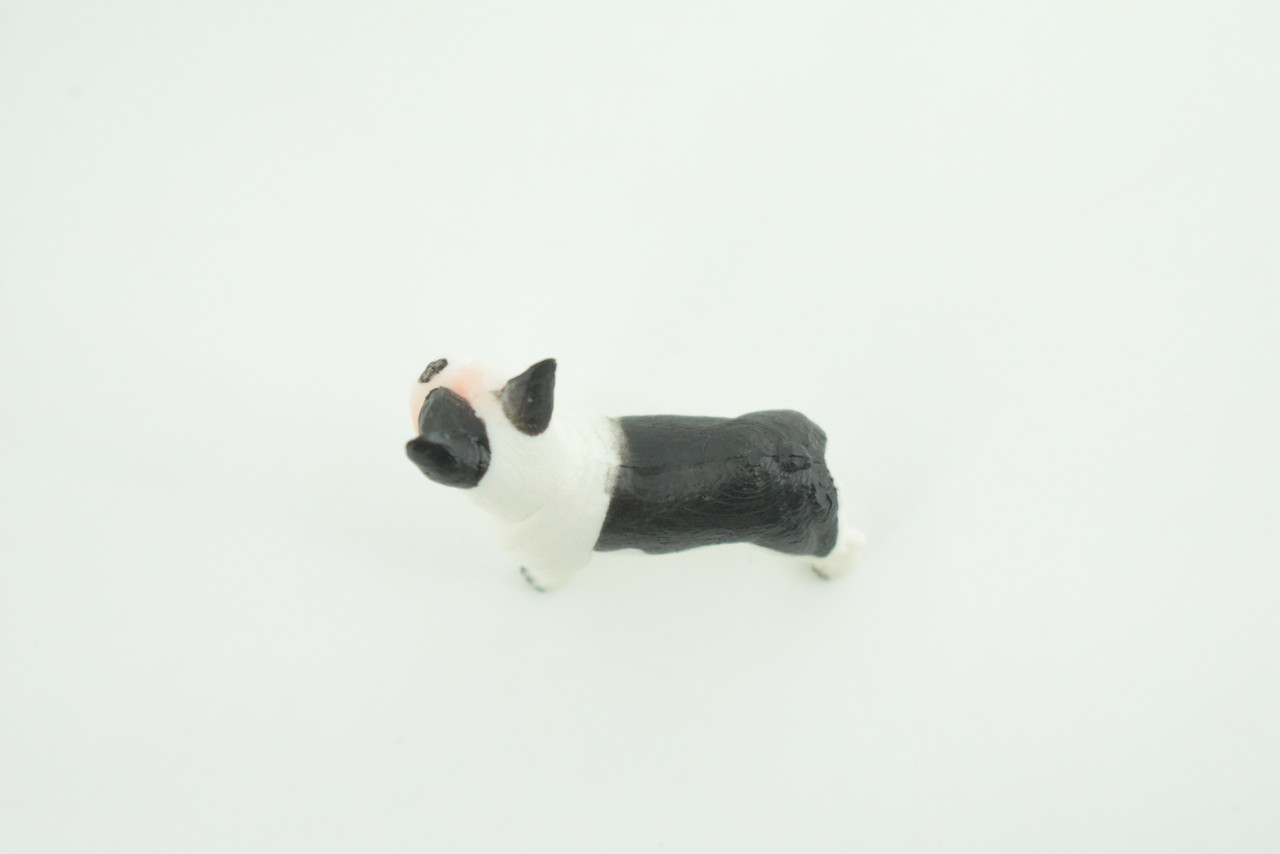 French Bulldog, Puppy, Bull Dog, Hand Painted, Educational, Museum Quality, Rubber Canine, K9, Realistic, Diorama, Figure, Toys, Kids, Gift,  2 Inches.  CH960 BB209 