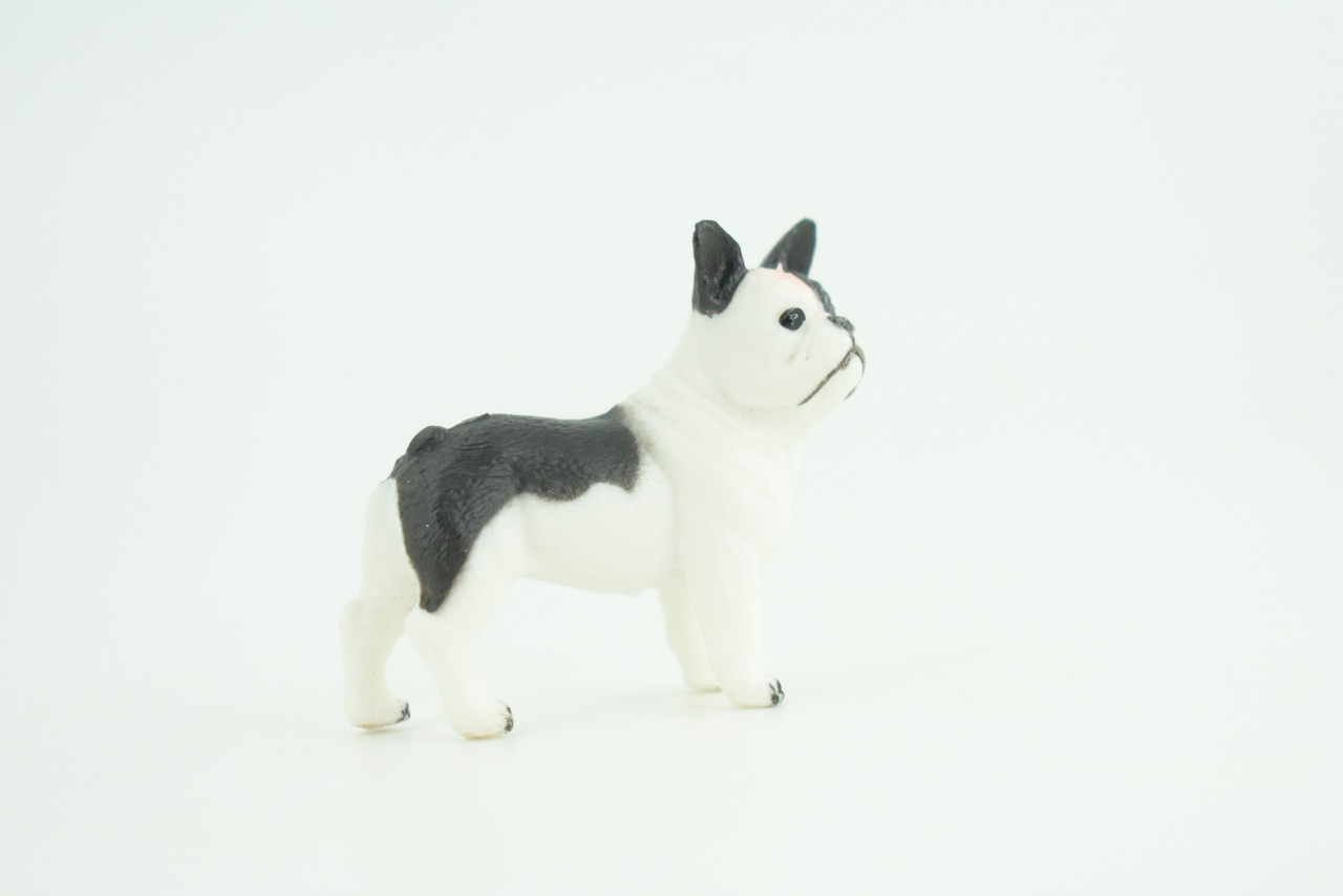 French Bulldog, Puppy, Bull Dog, Hand Painted, Educational, Museum Quality, Rubber Canine, K9, Realistic, Diorama, Figure, Toys, Kids, Gift,  2 Inches.  CH960 BB209 