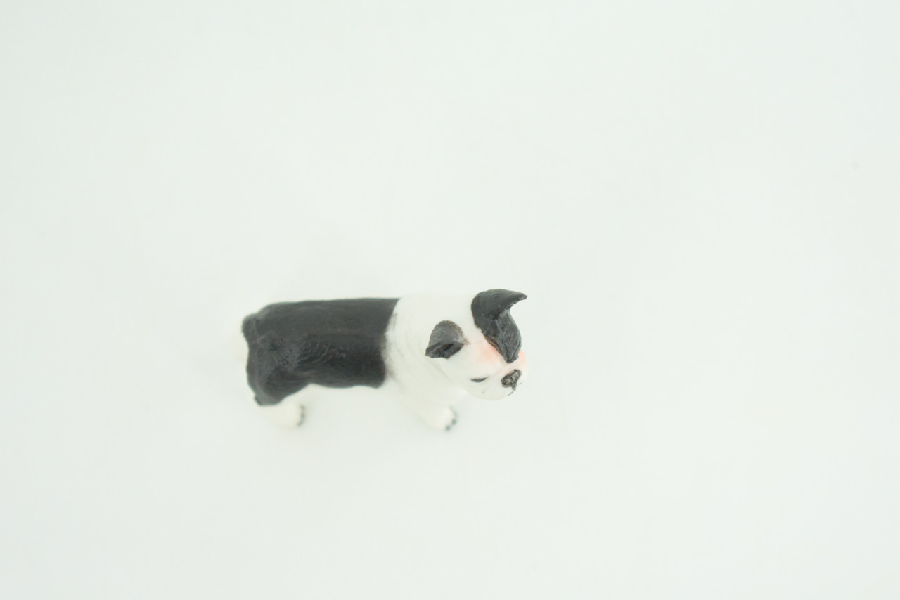 French Bulldog, Puppy, Bull Dog, Hand Painted, Educational, Museum Quality, Rubber Canine, K9, Realistic, Diorama, Figure, Toys, Kids, Gift,  2 Inches.  CH960 BB209 