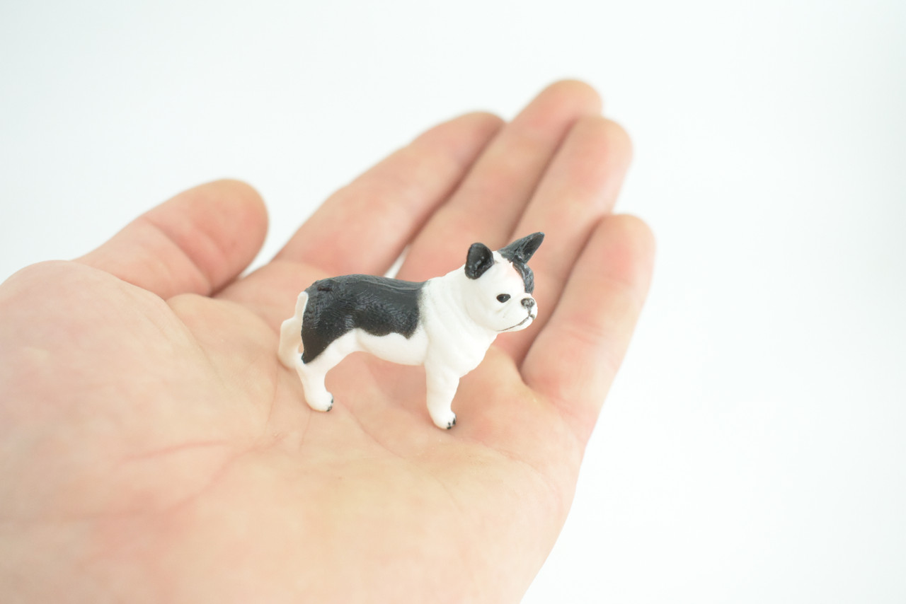 French Bulldog, Puppy, Bull Dog, Hand Painted, Educational, Museum Quality, Rubber Canine, K9, Realistic, Diorama, Figure, Toys, Kids, Gift, 2 Inches. CH960 BB209