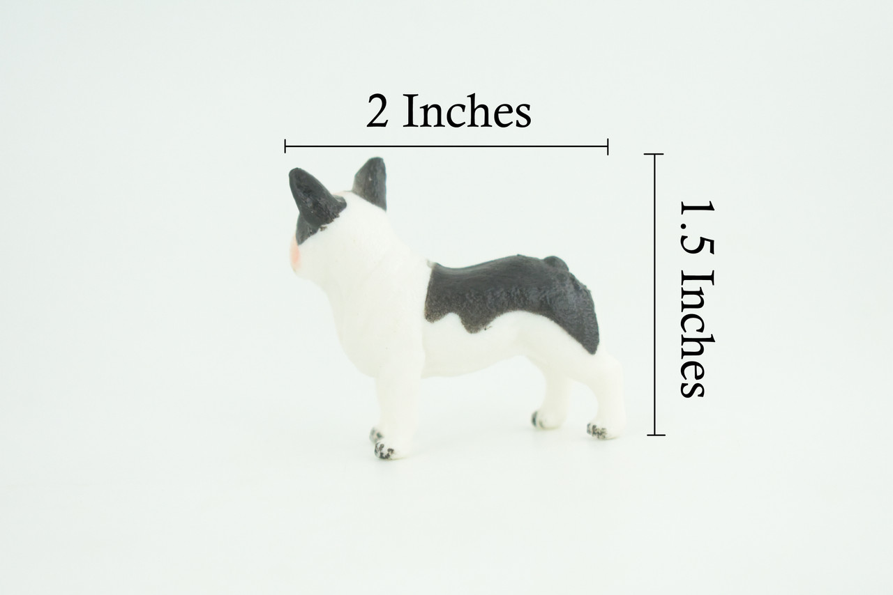 French Bulldog, Puppy, Bull Dog, Hand Painted, Educational, Museum Quality, Rubber Canine, K9, Realistic, Diorama, Figure, Toys, Kids, Gift, 2 Inches. CH960 BB209
