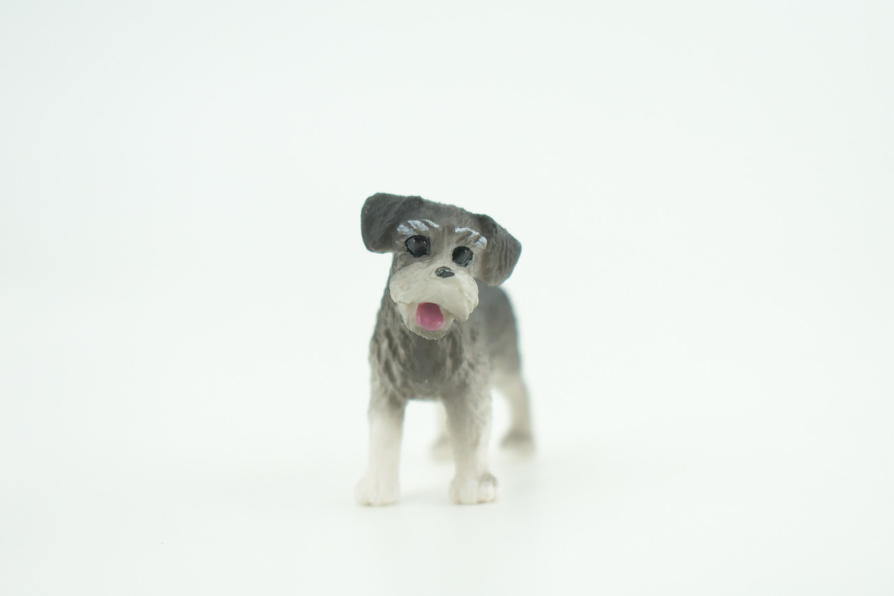 Schnauzer Dog Puppy, Hand Painted, Educational, Museum Quality, Rubber Canine, K9, Realistic, Diorama, Figure, Toys, Kids, Gift,  2 Inches.  CH961 BB209 